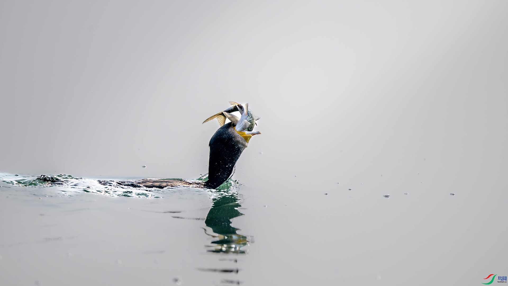 DSC_5255.jpg