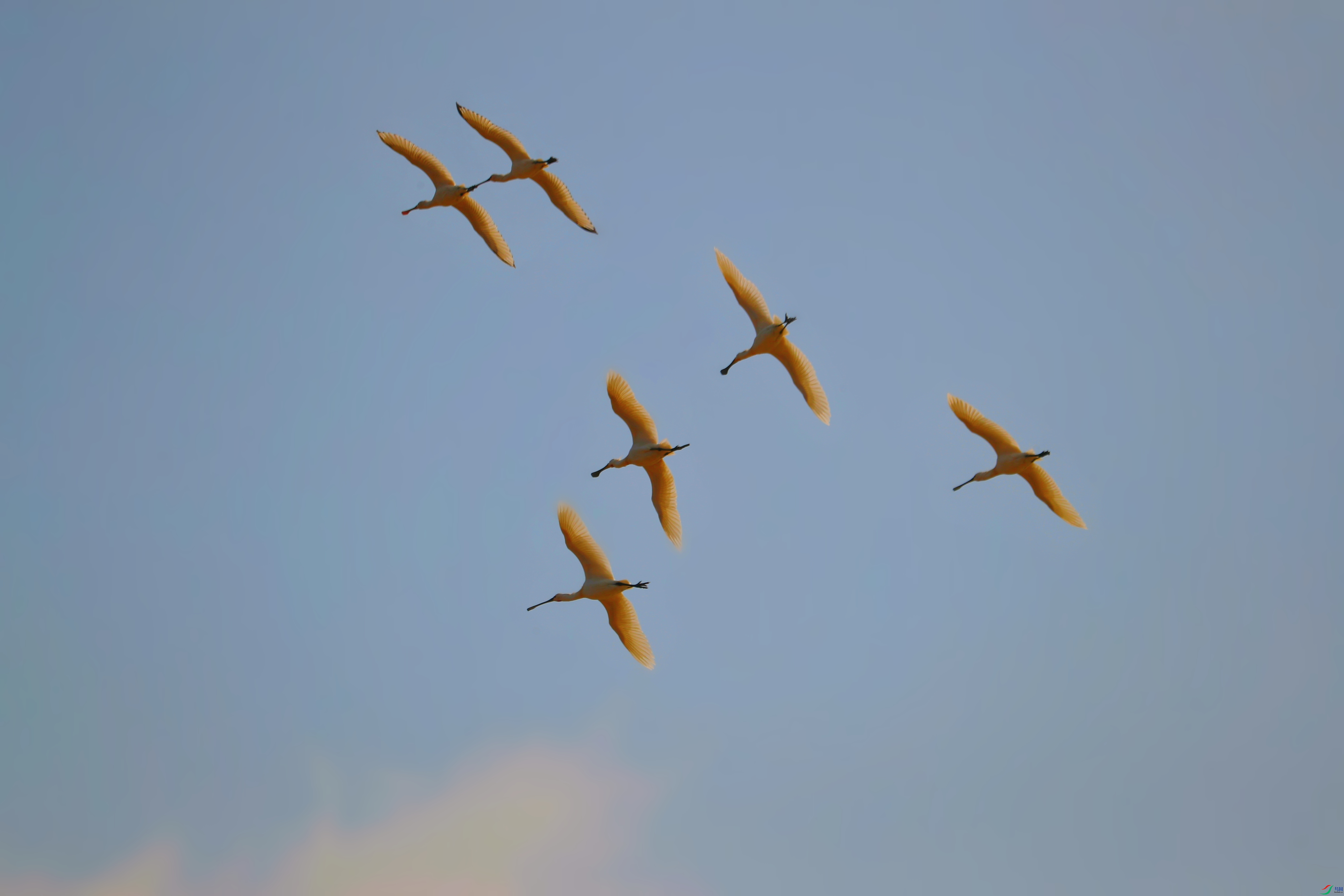 AS8I0841_����_����.jpg