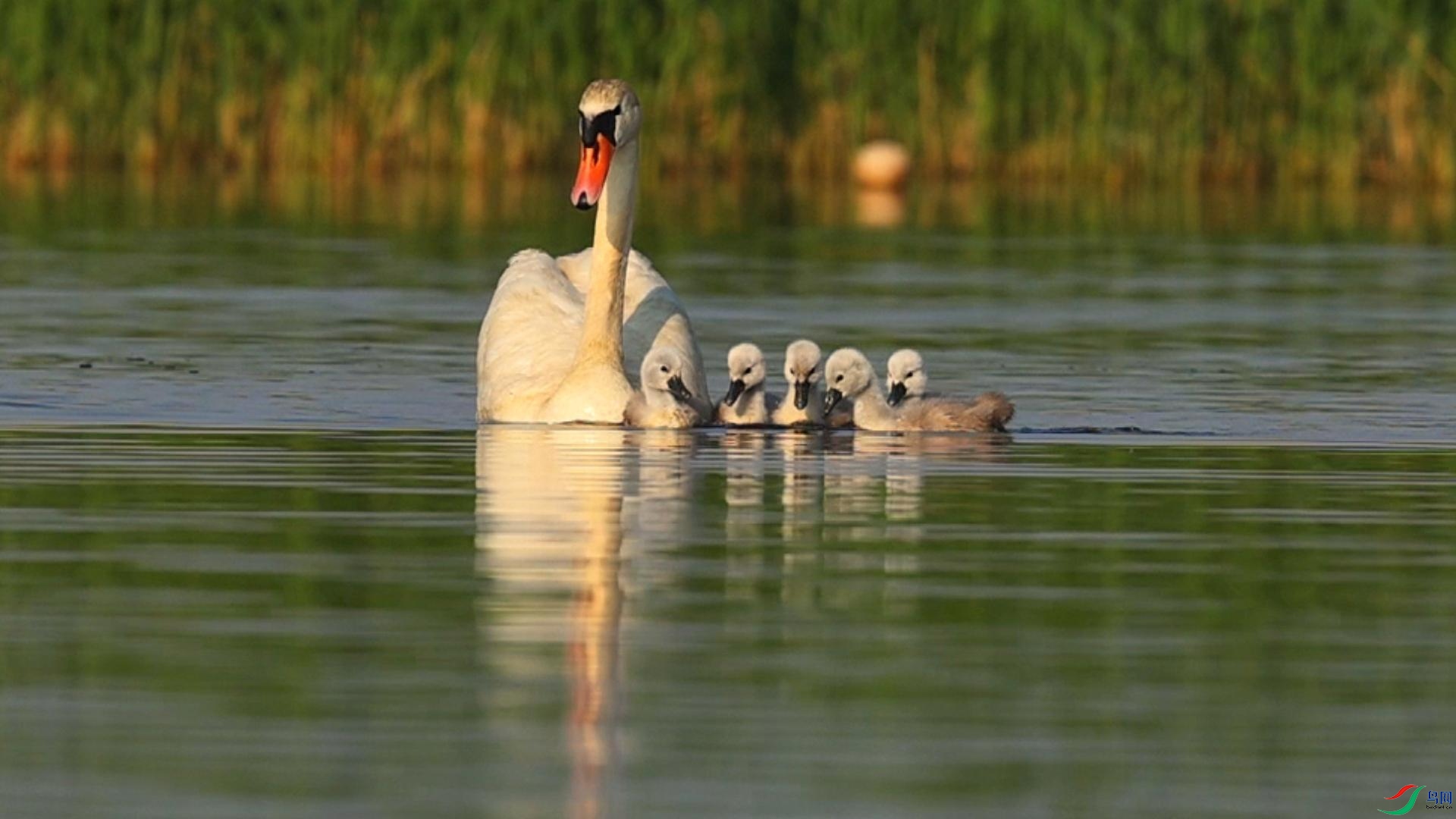 7��14�� (1)(1)-����.jpg