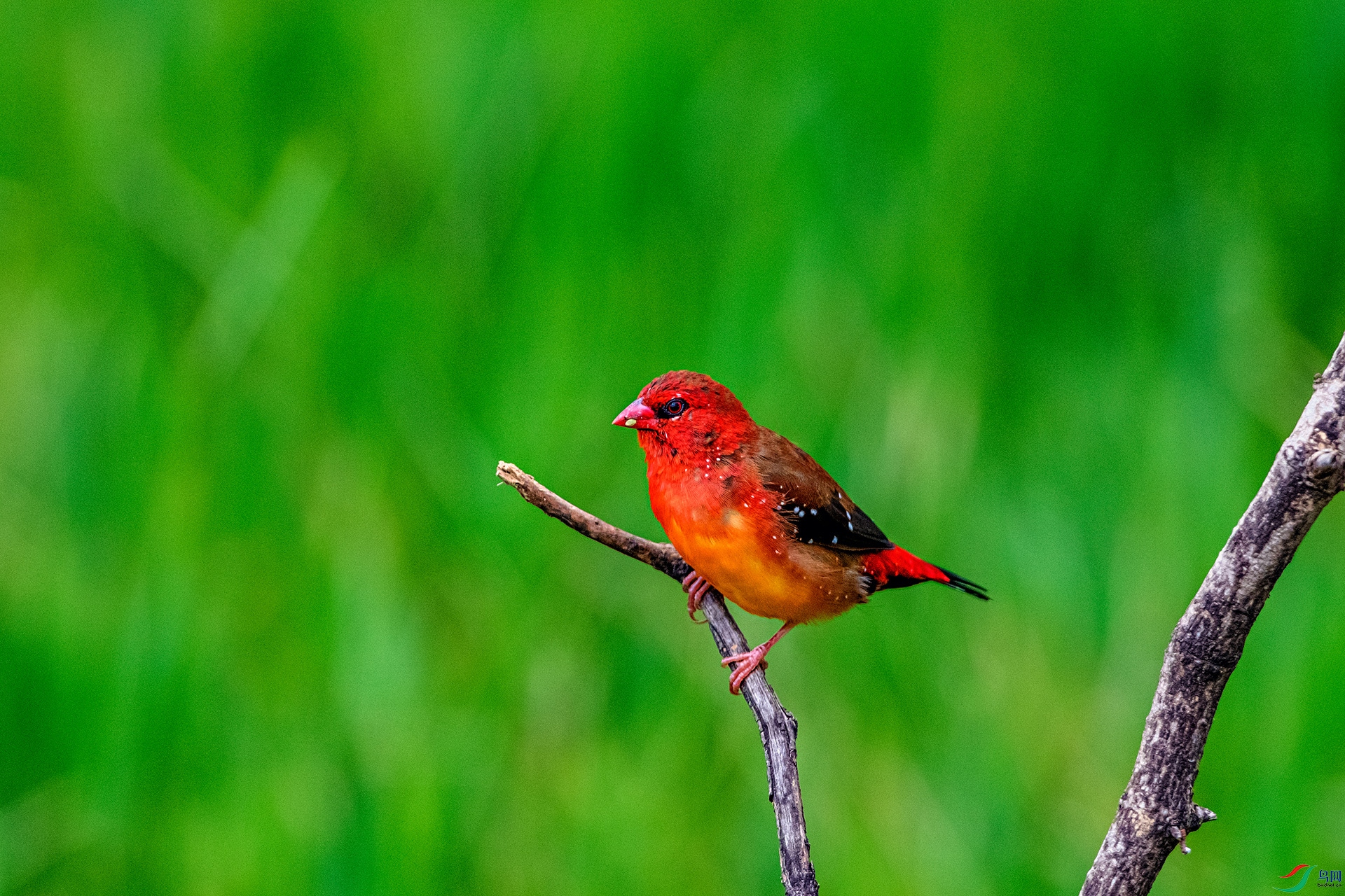 _AUU6232 ��÷��ȸ(25.7.7).jpg