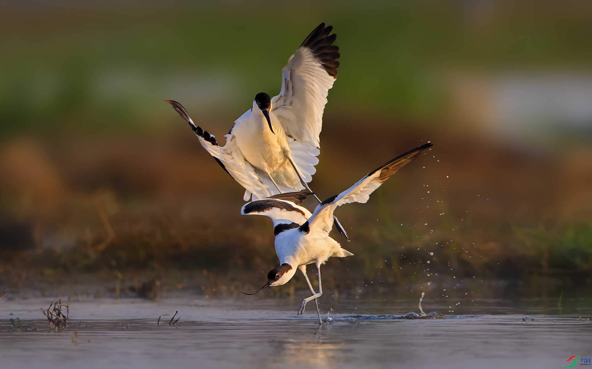 R5M21939 fu ����.jpg