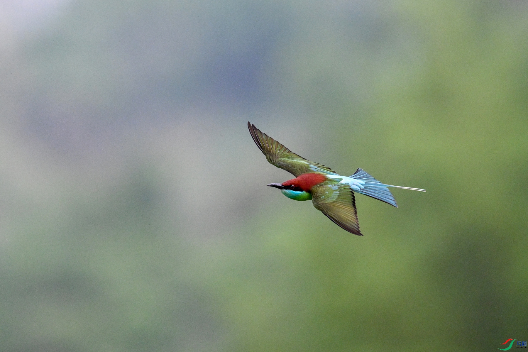 DSC_4094.JPG