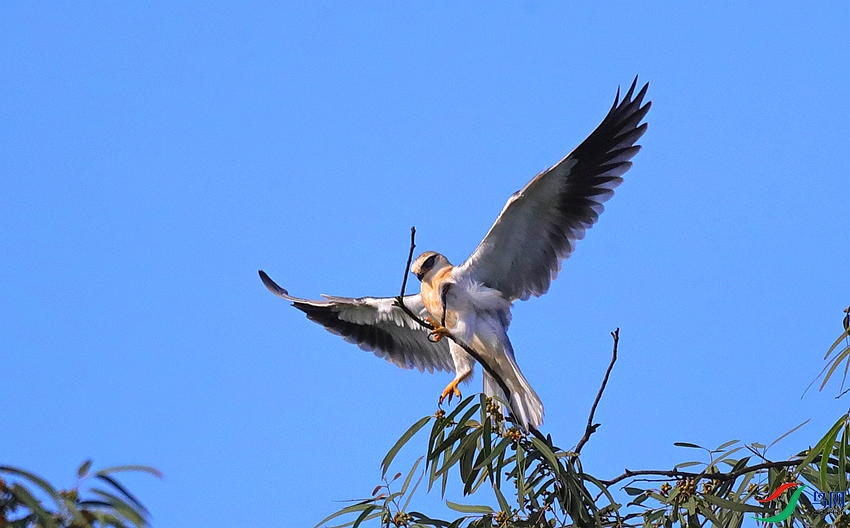 A81I7187_����.jpg