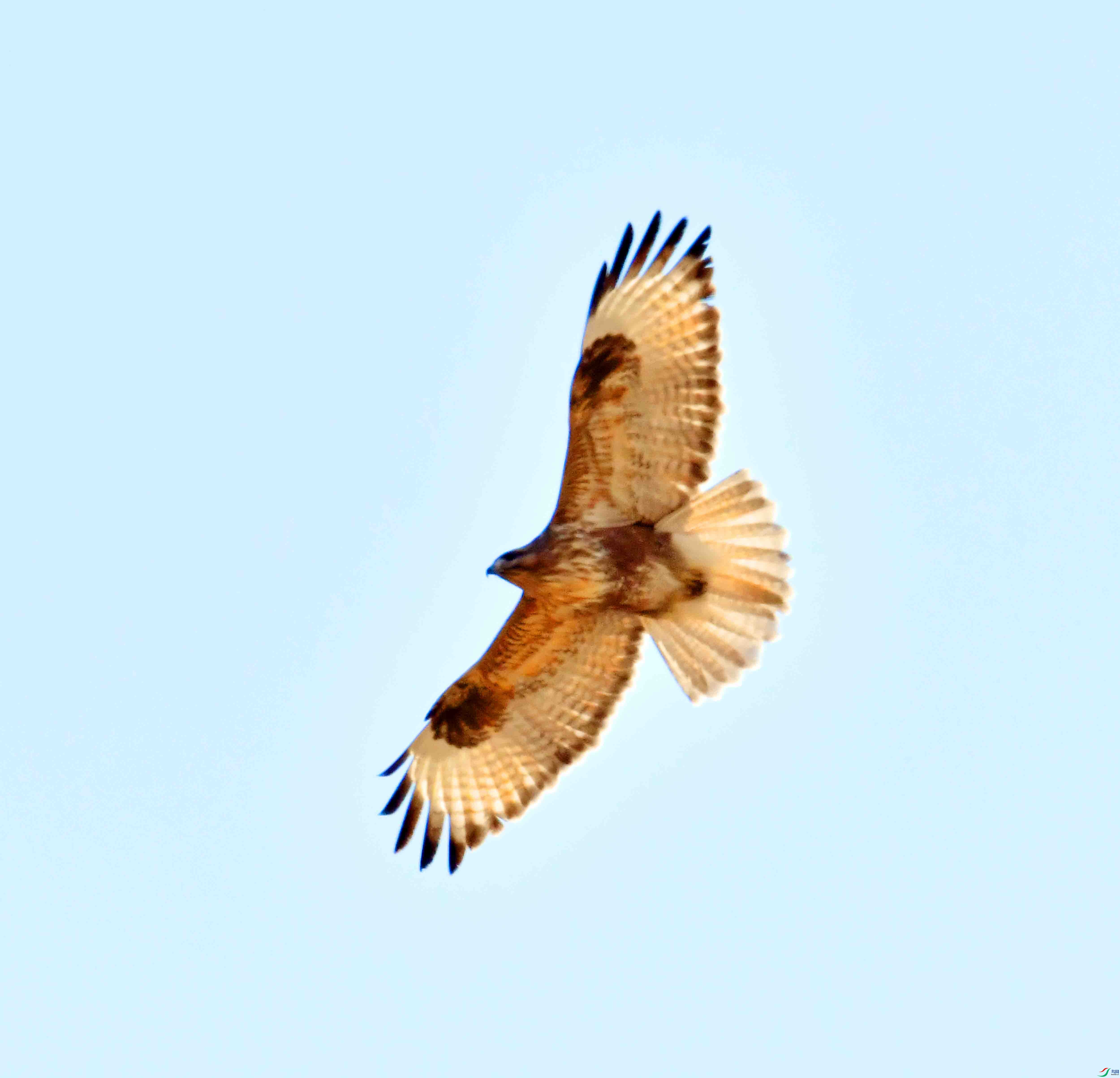 DSC_1001.JPG
