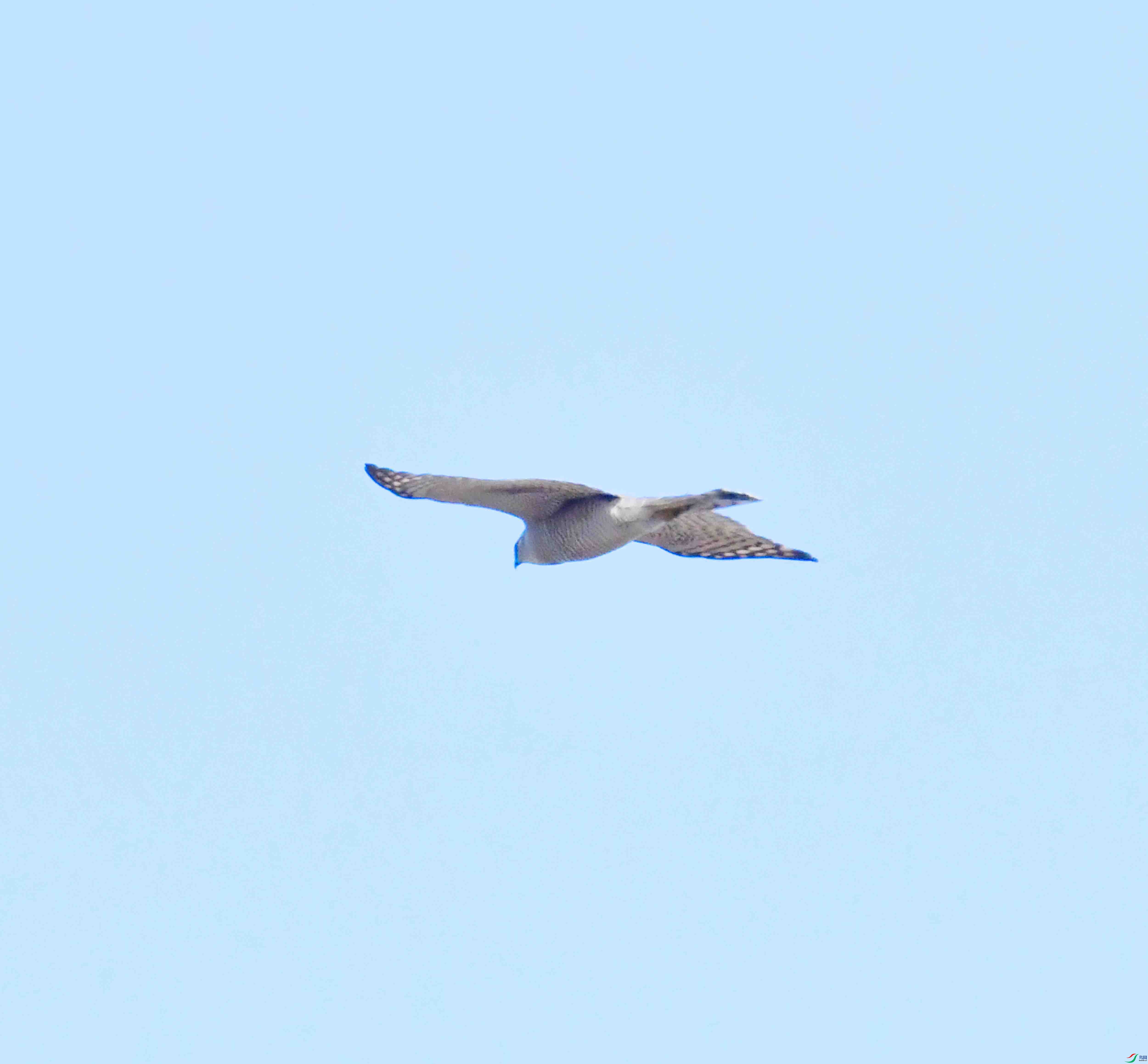 DSC_1033.JPG