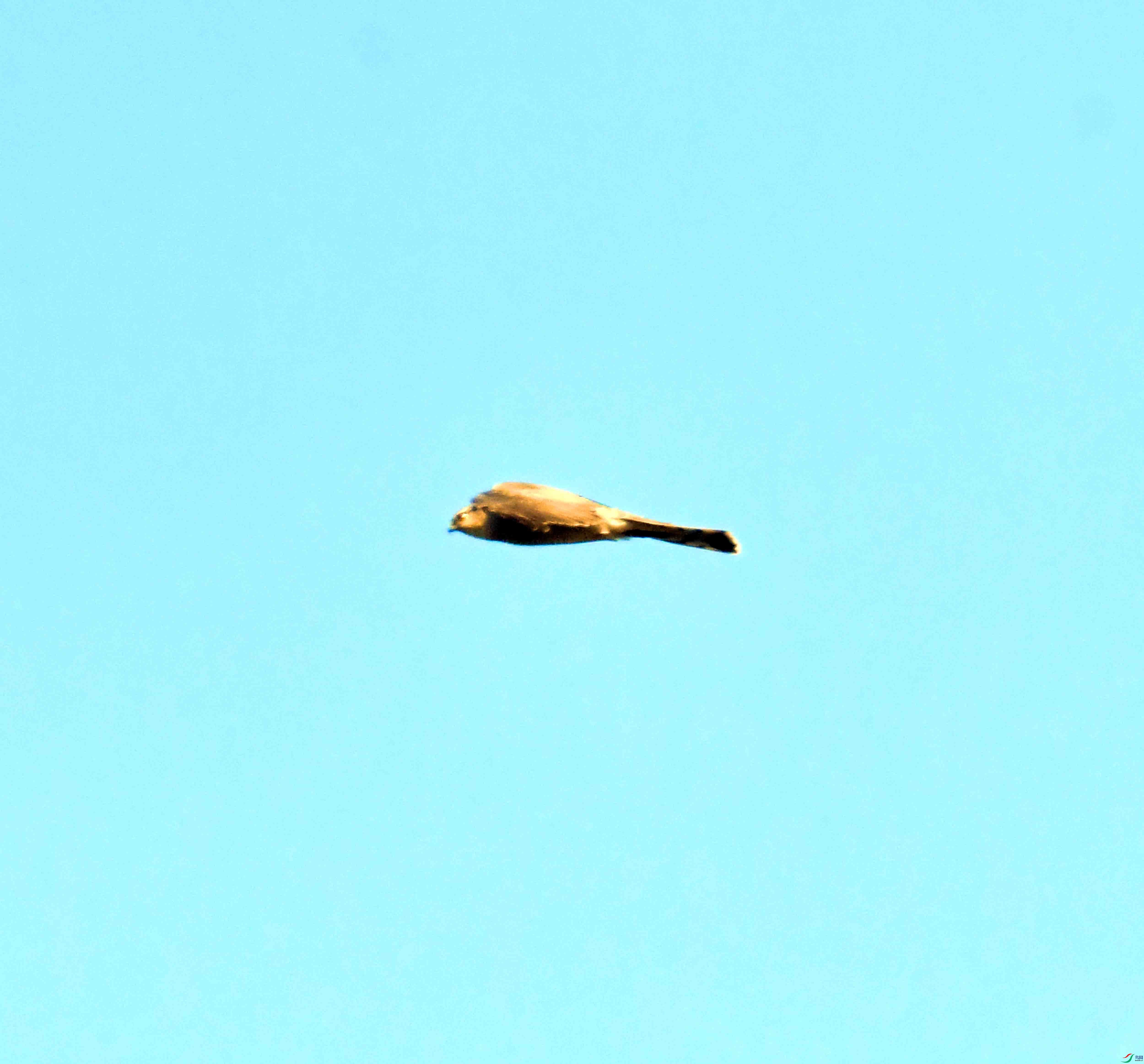 DSC_1034.JPG