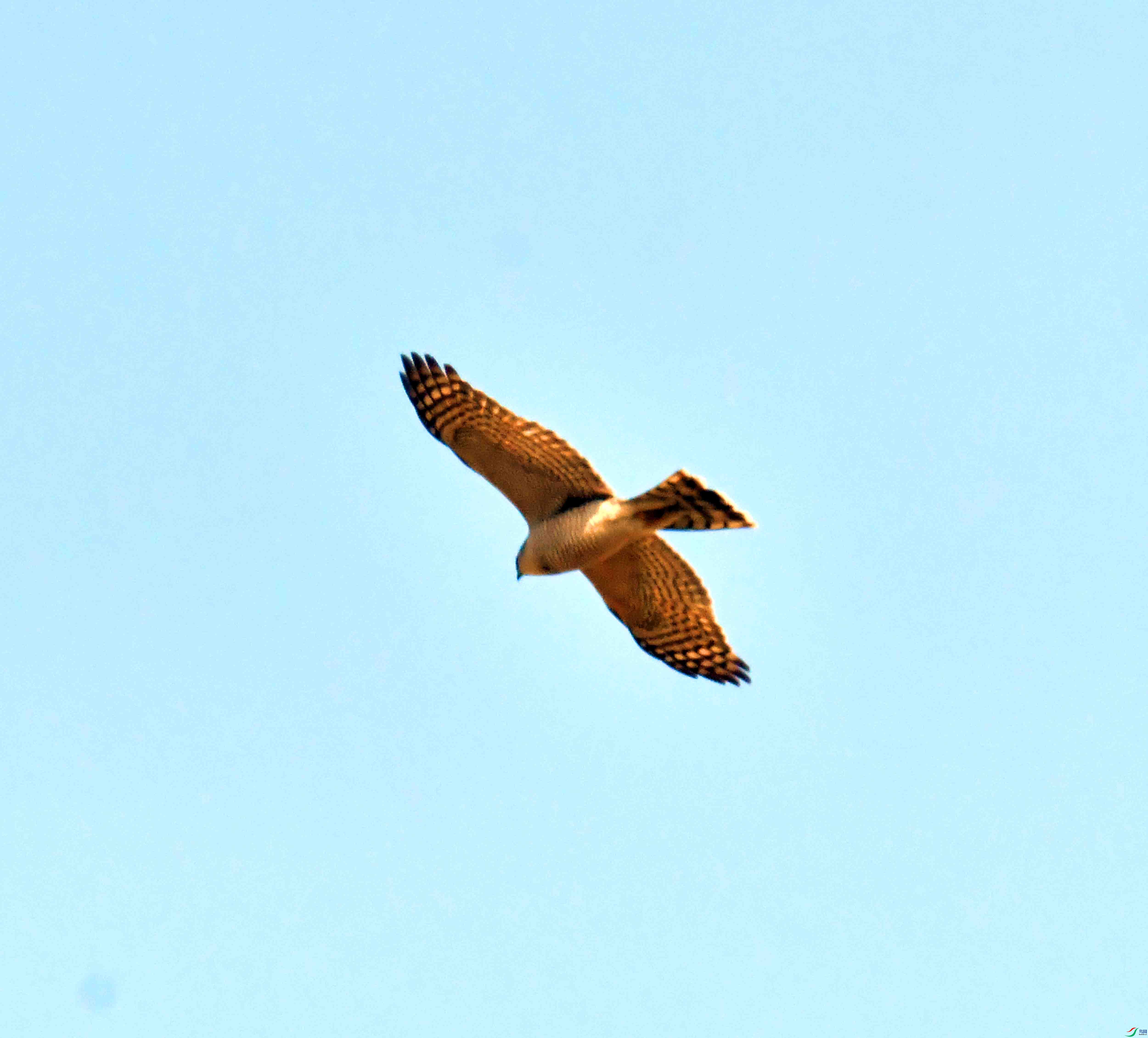 DSC_1051.JPG