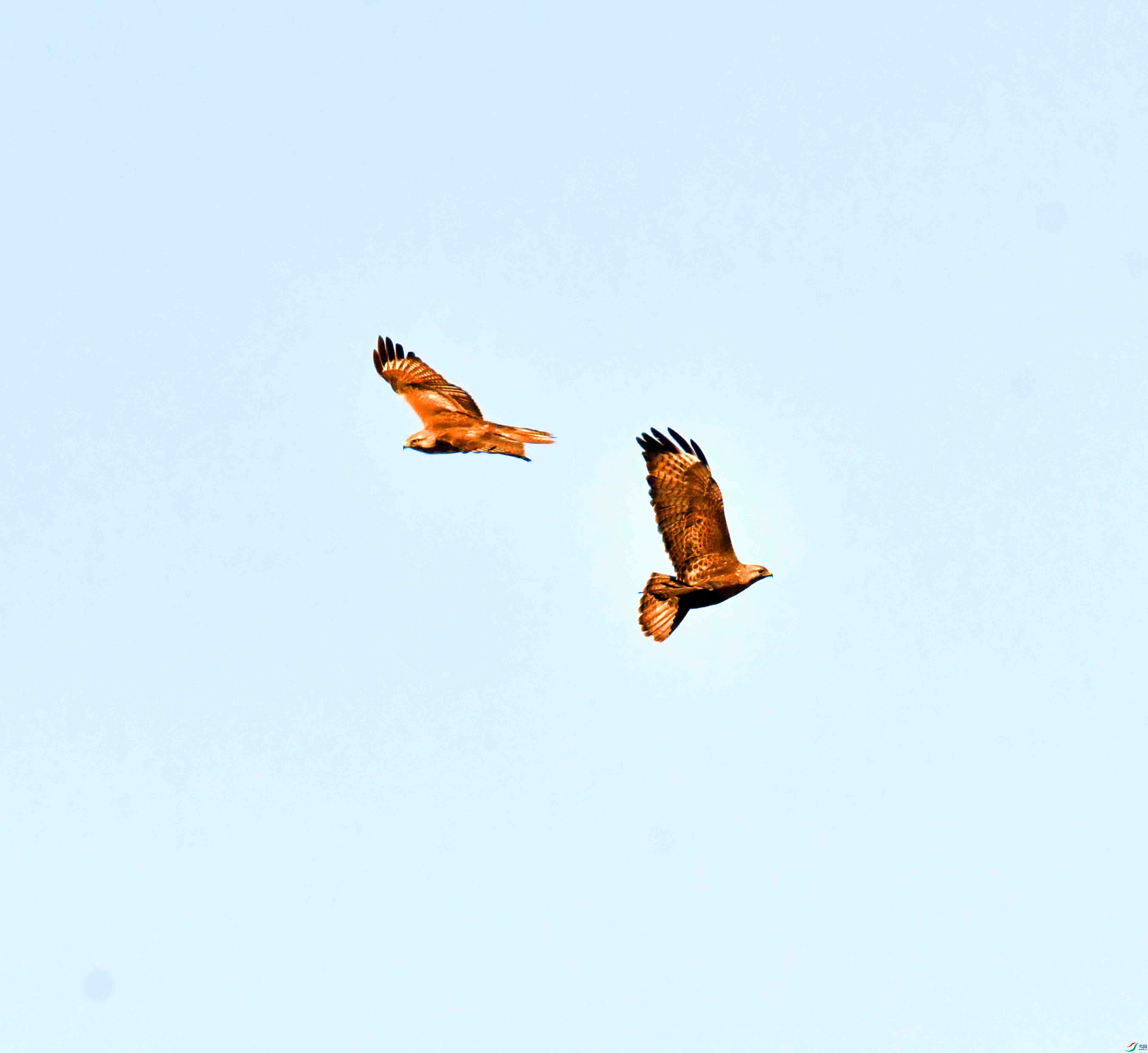 DSC_1640.JPG