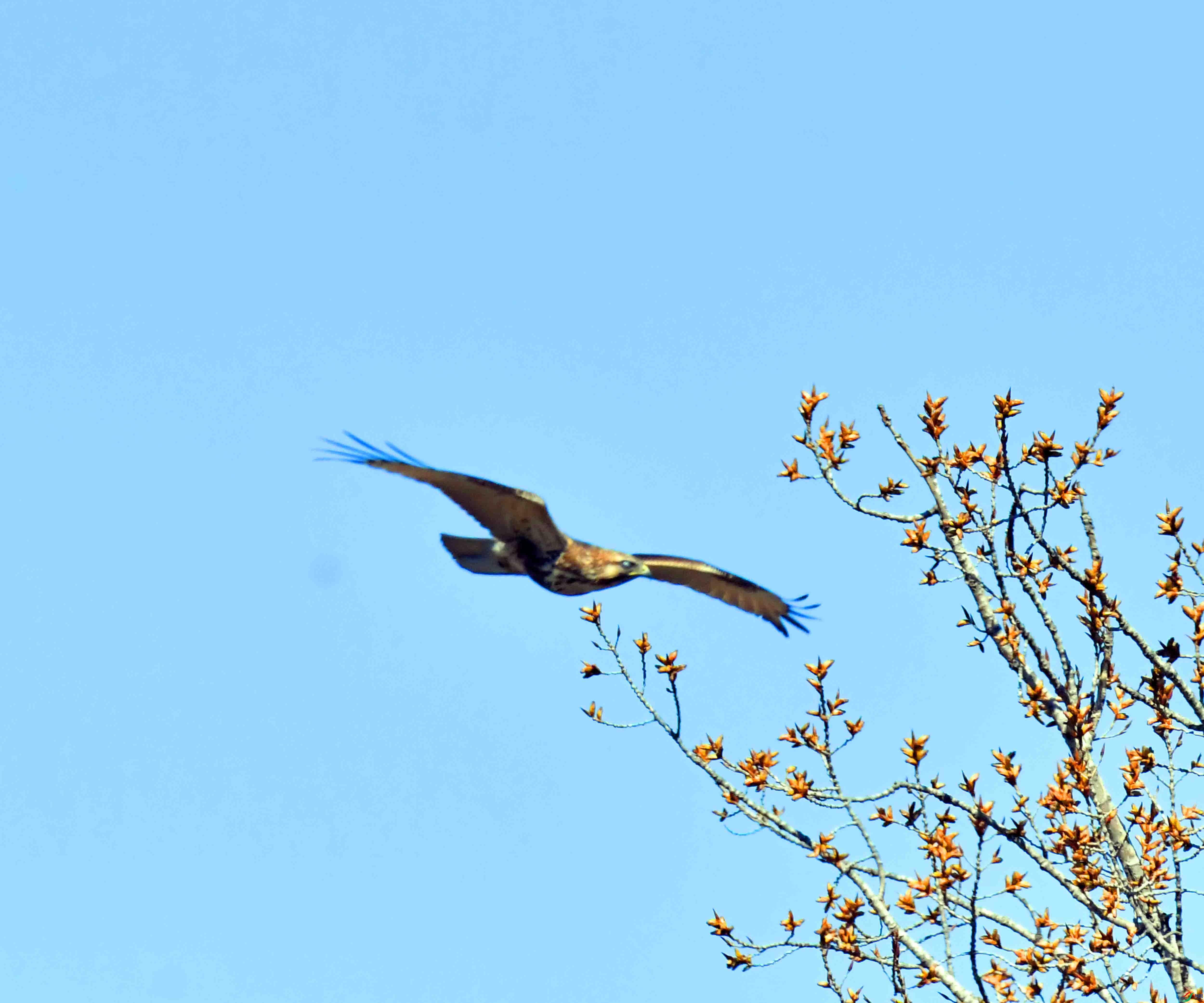 DSC_1674.JPG