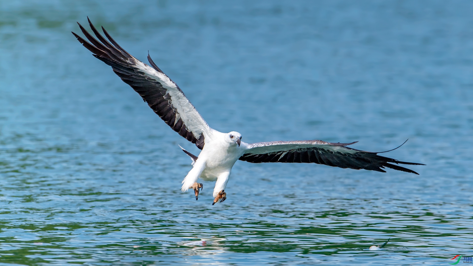 _DSC0964-.jpg