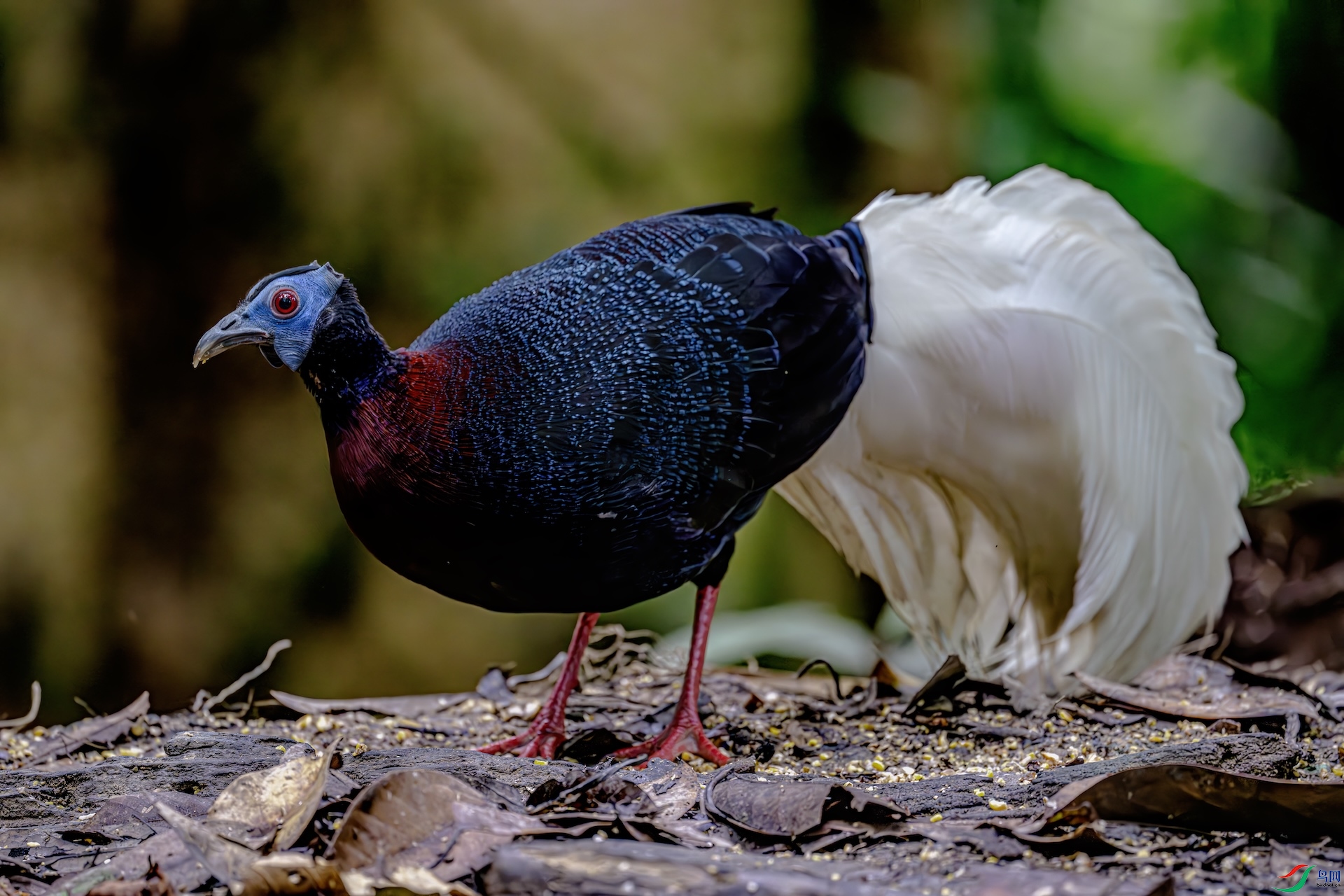 DSC_4476_����.jpg