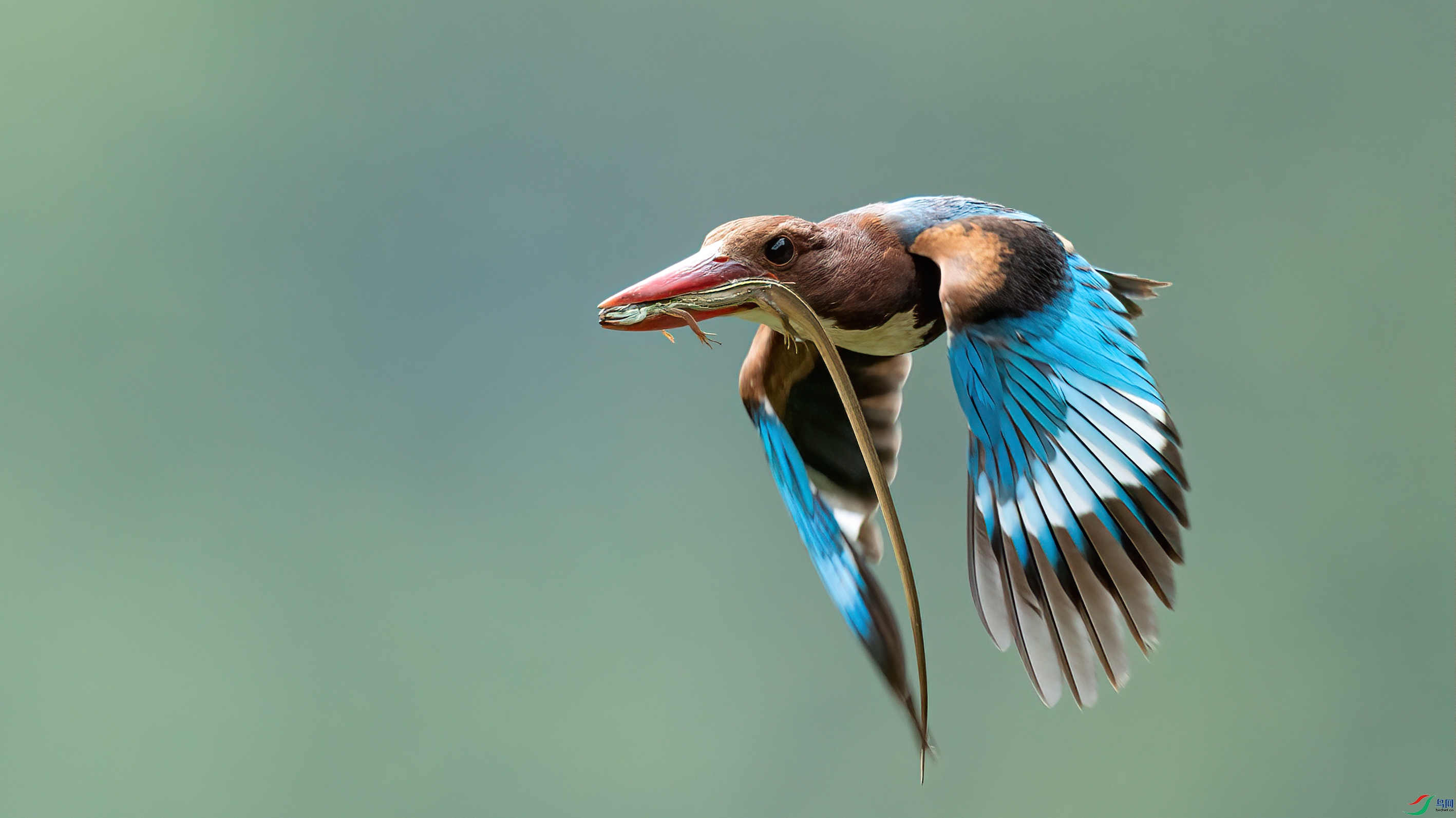 048A4034 ����.jpg