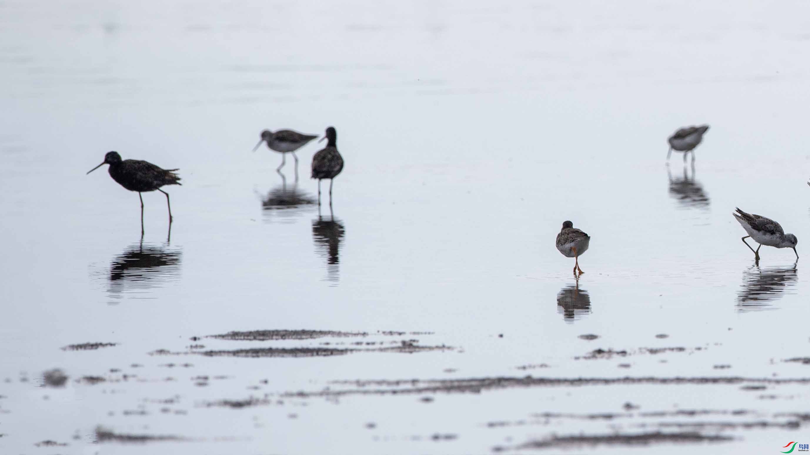 DSC_8573 ����.jpg