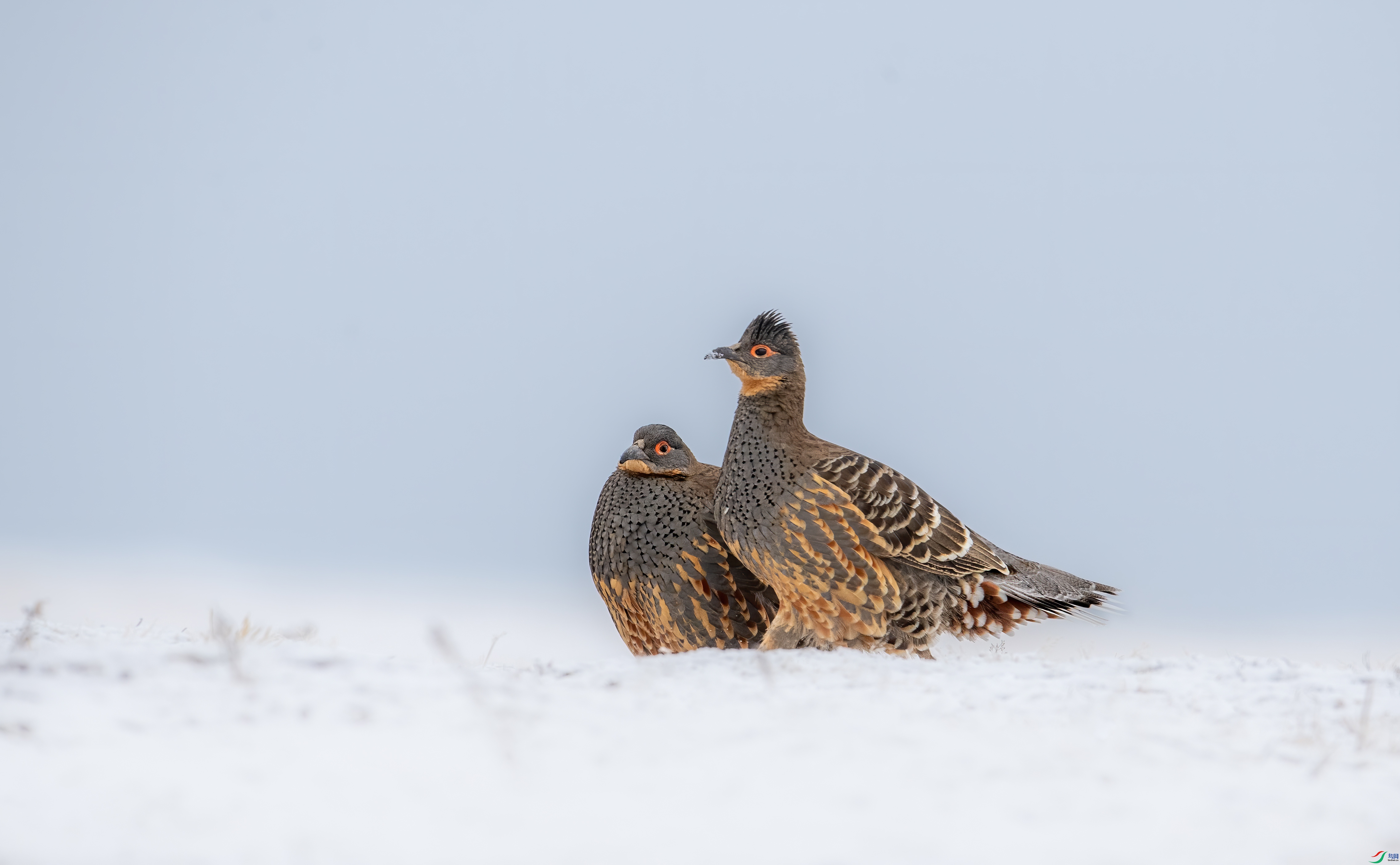 DSC_5606-2.jpg