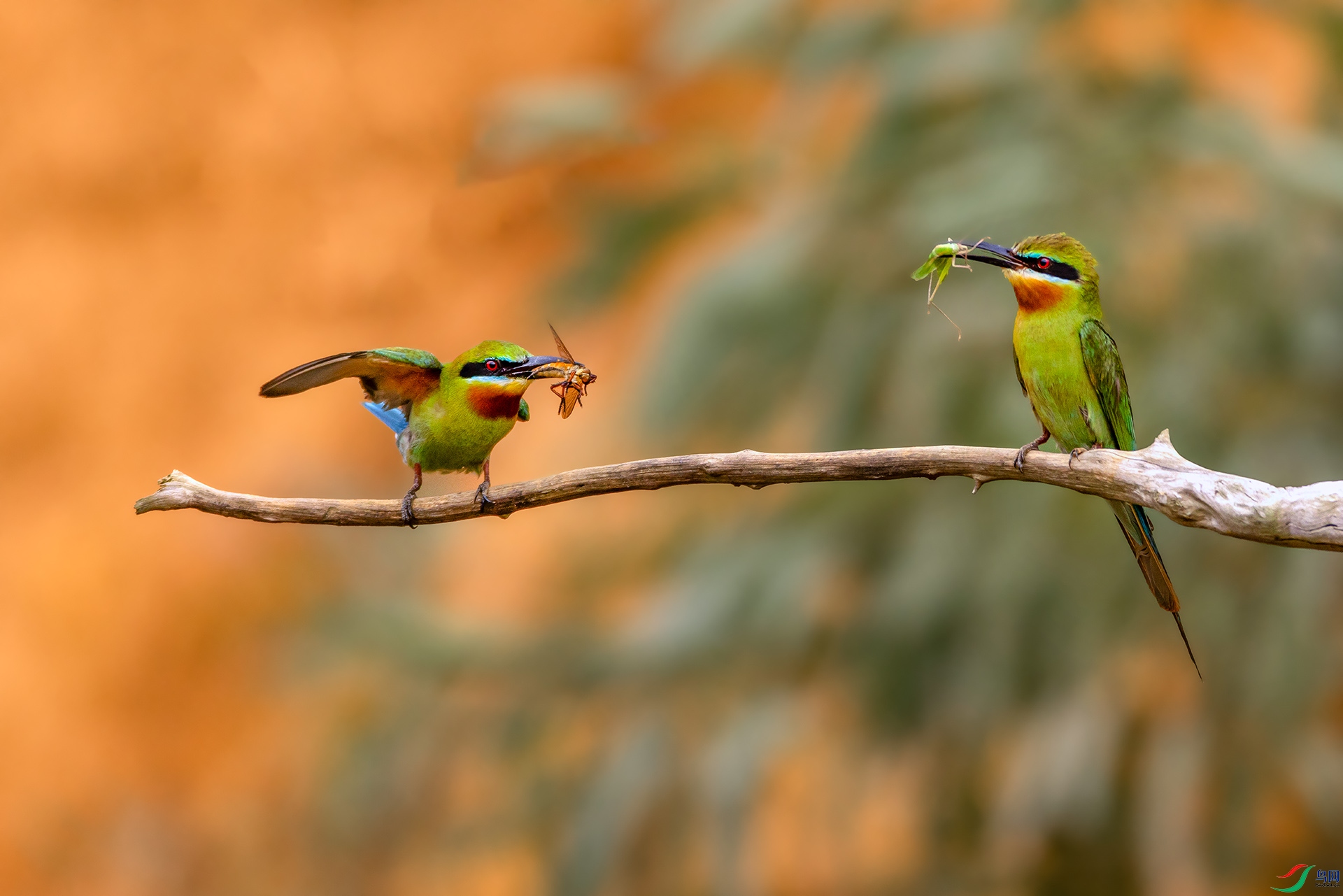 407A0365 ����-----1 .jpg