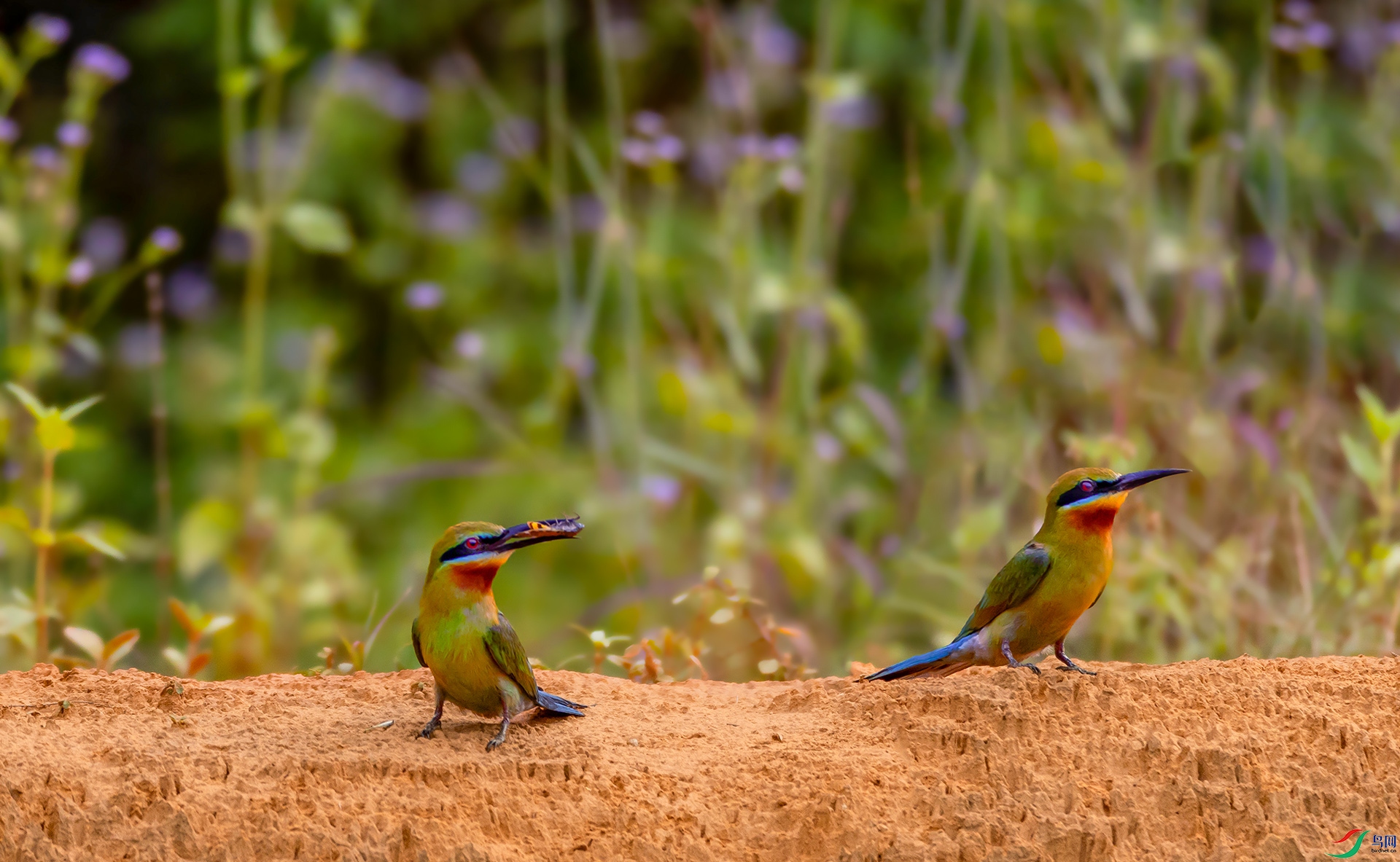 407A0413 ����-----1 .jpg