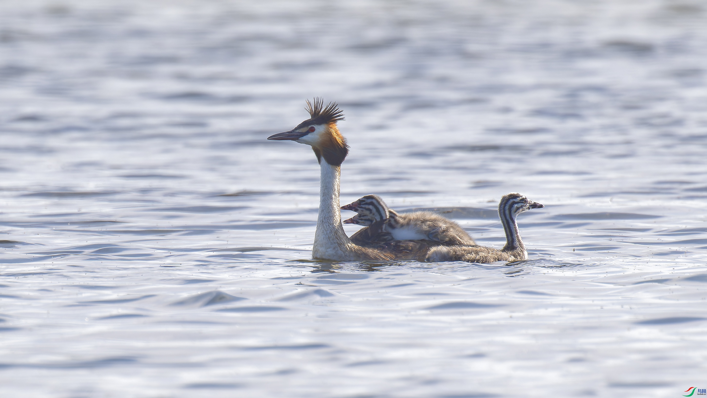 DSC_4935_DxO.jpg