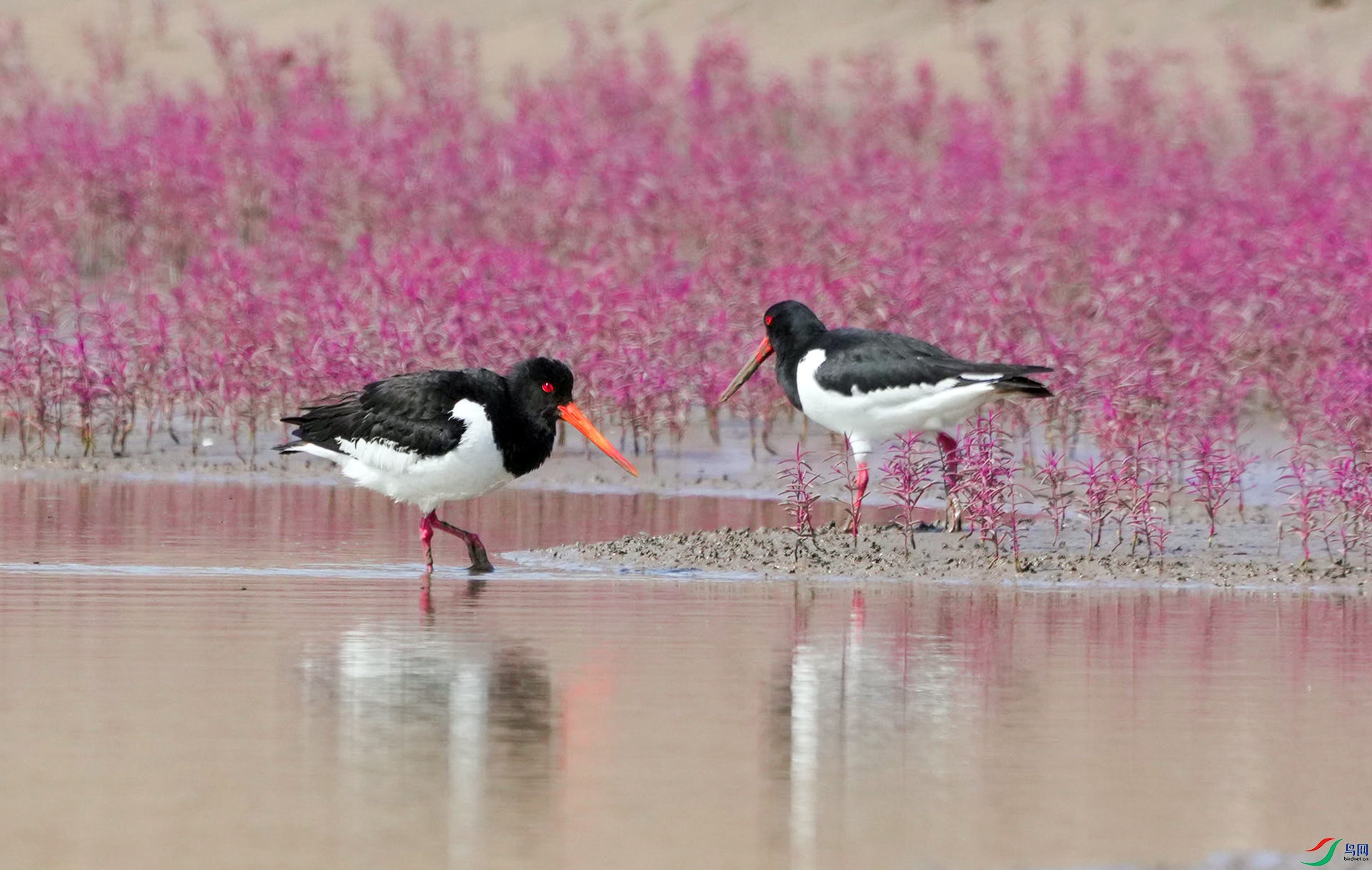 DSC01024 ����.jpg