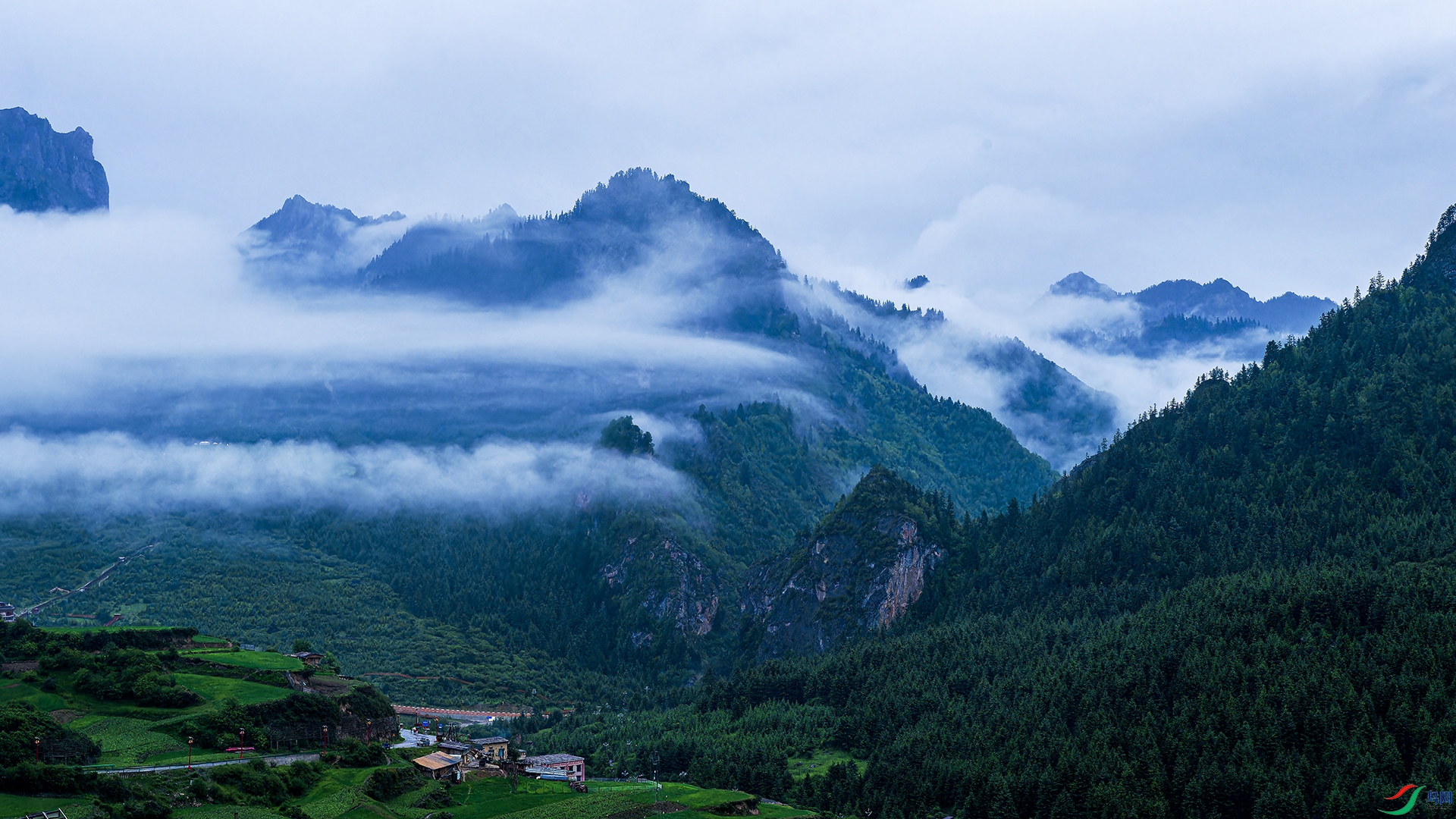 _CYG6618-NEF_DxO_DeepPRIMEXD ����11.jpg