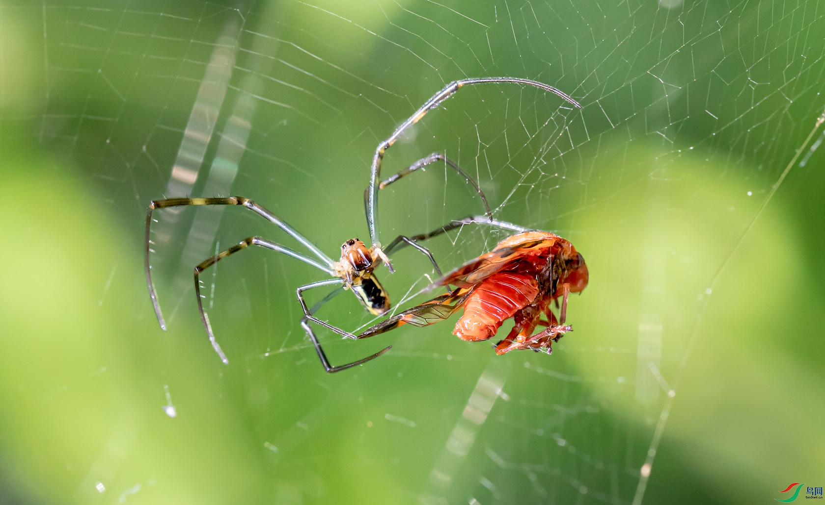 3C6A8898s��ʳ����.jpg