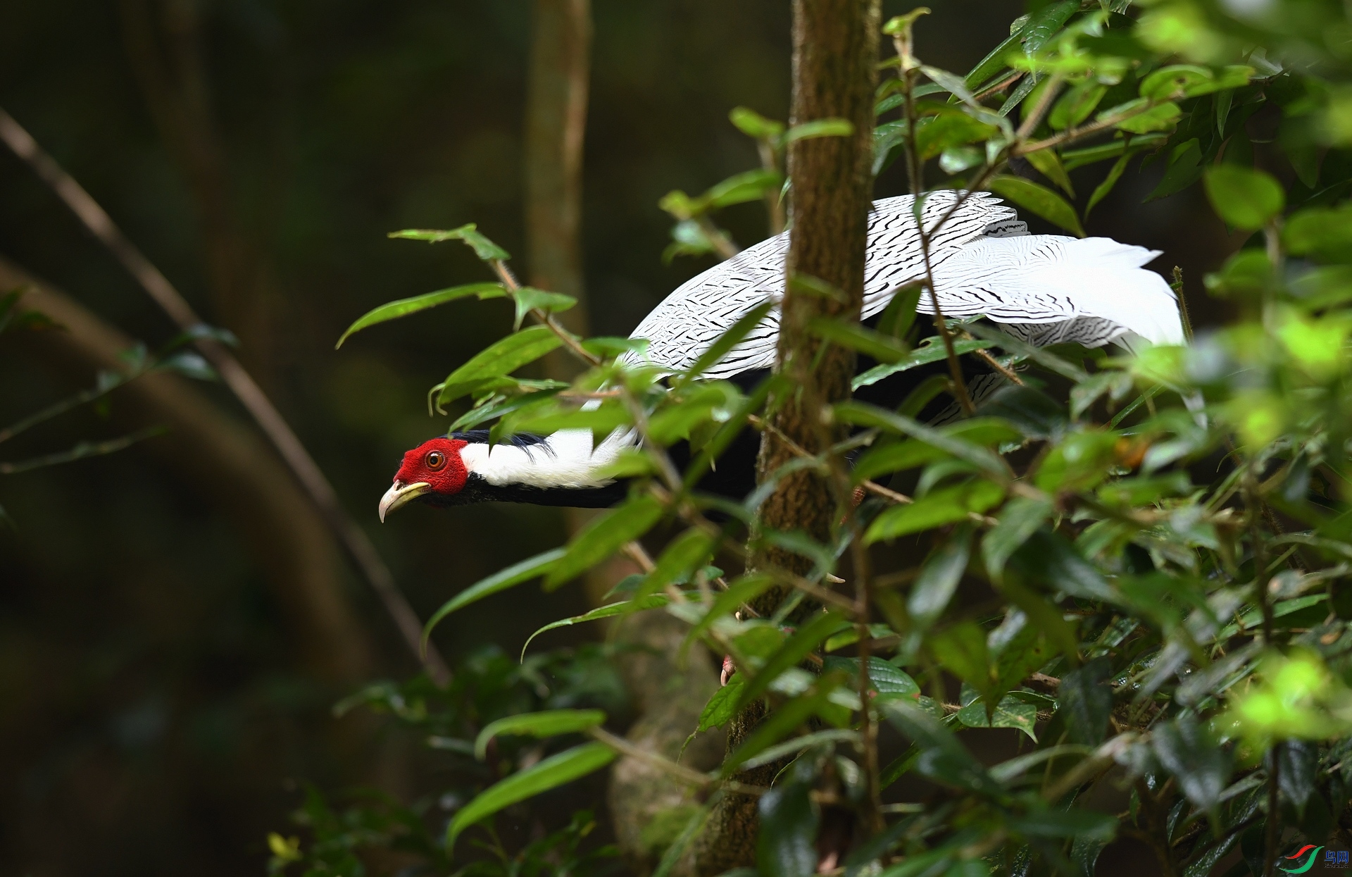 DSC_6435.jpg