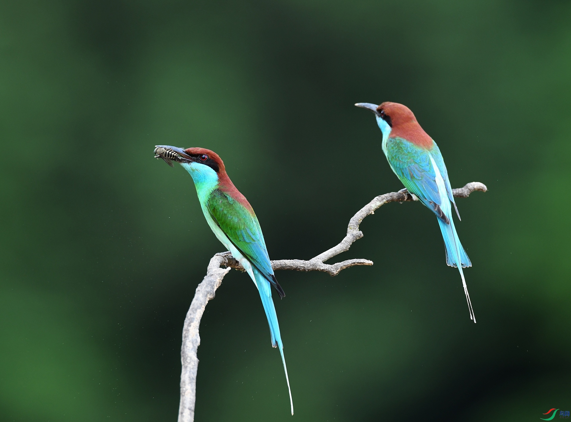 DSC_2664.jpg