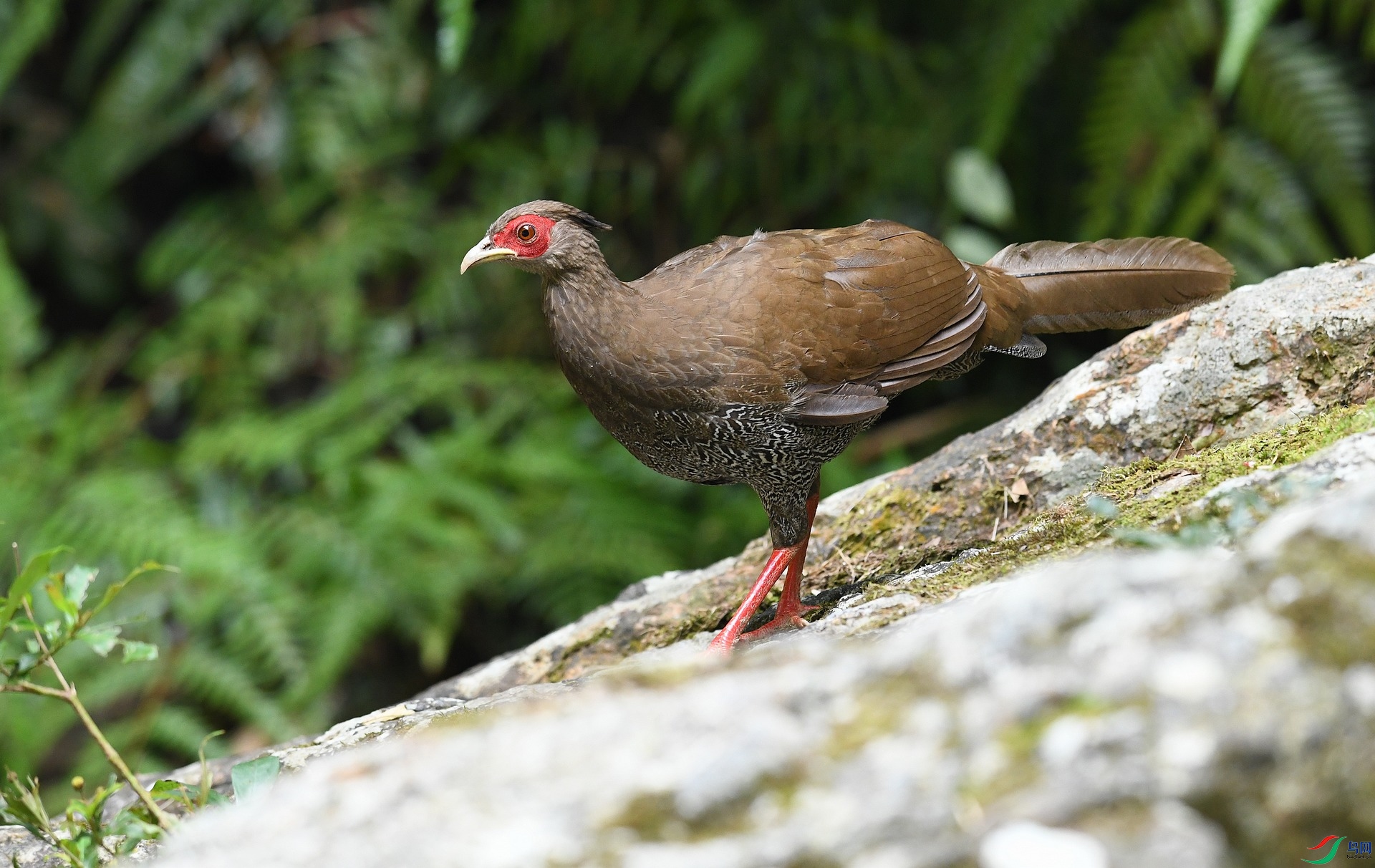 DSC_6663.jpg