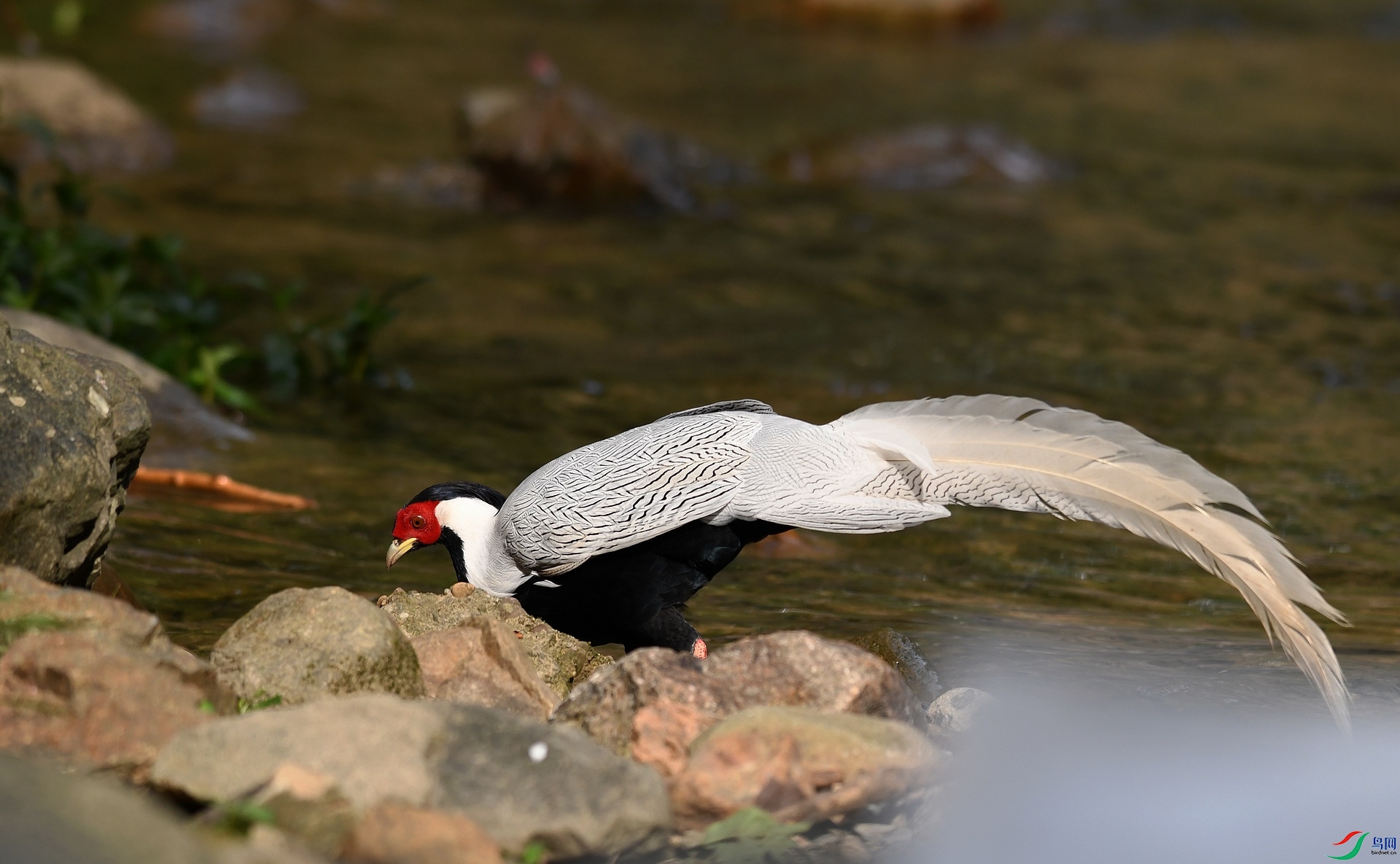 DSC_7296.jpg