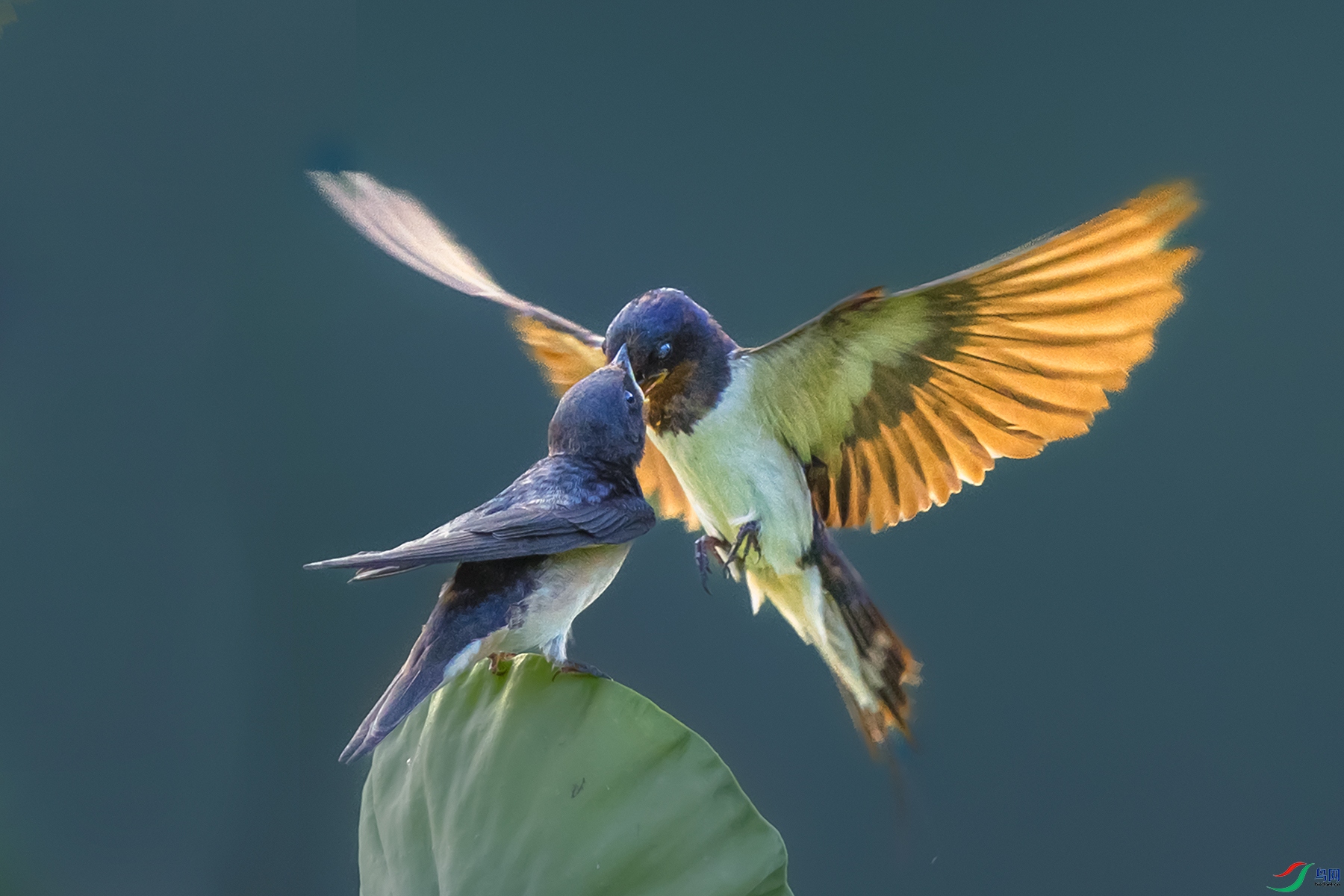 ����----����֮��