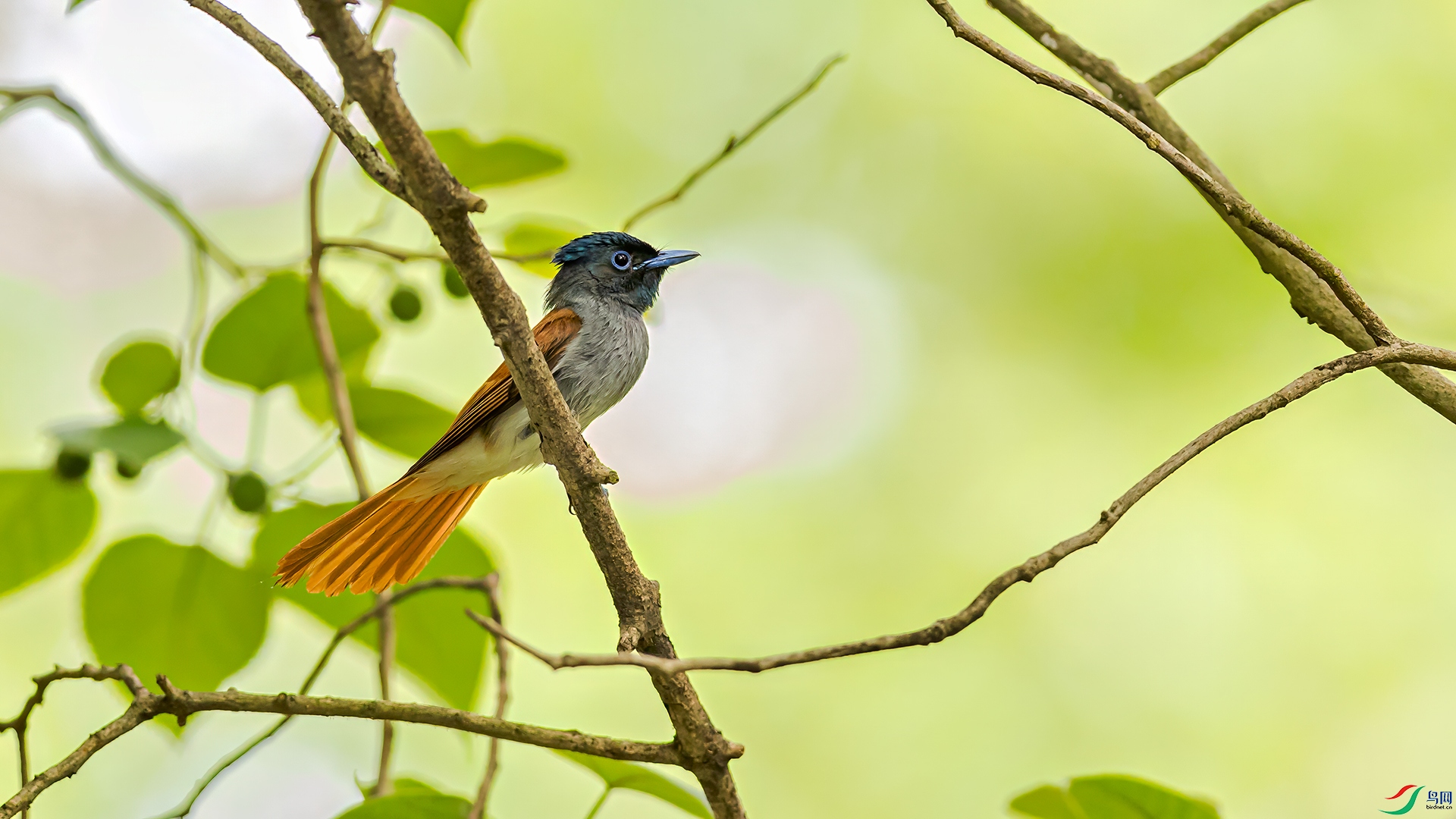 398A7018 ����.jpg