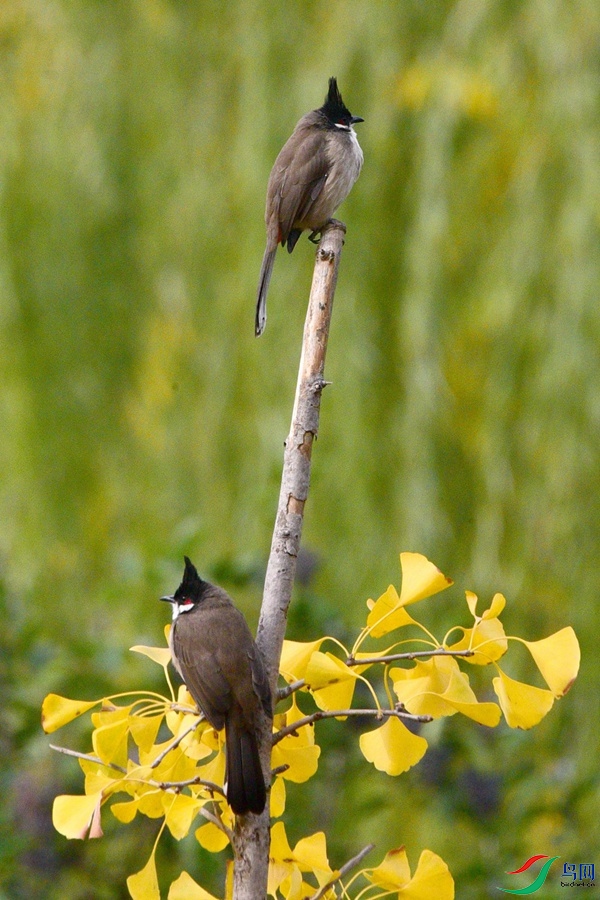 DSC_5662.JPG