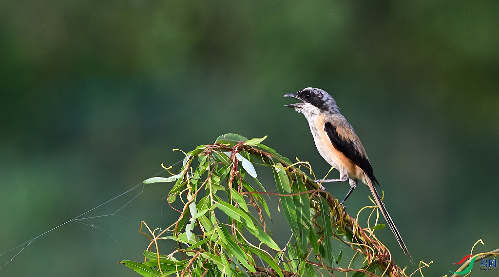 DSC_3931.JPG