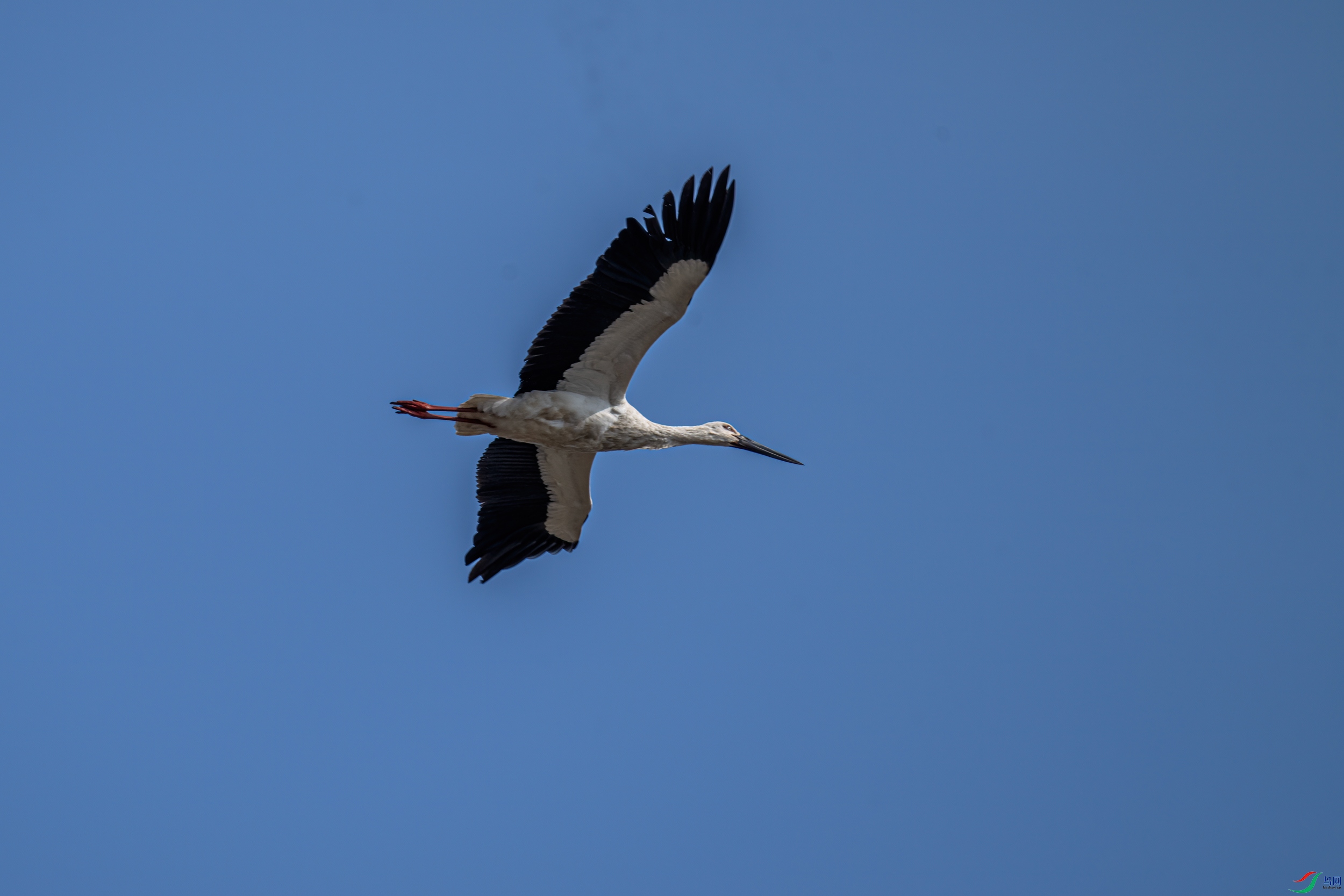 DSC_6949-11.jpg