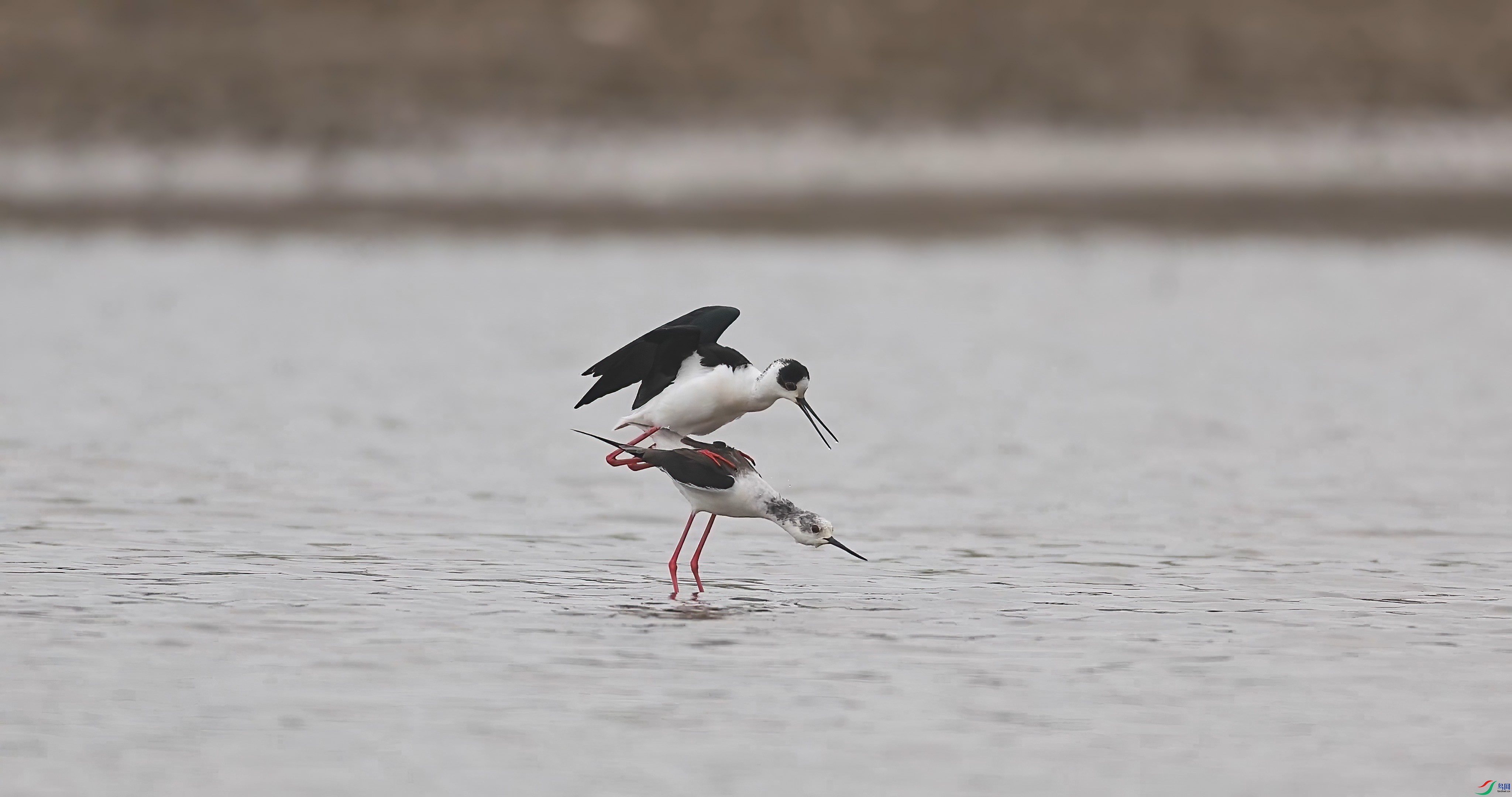 ��֡ 2025-07-16 171341_1.1.4.jpg