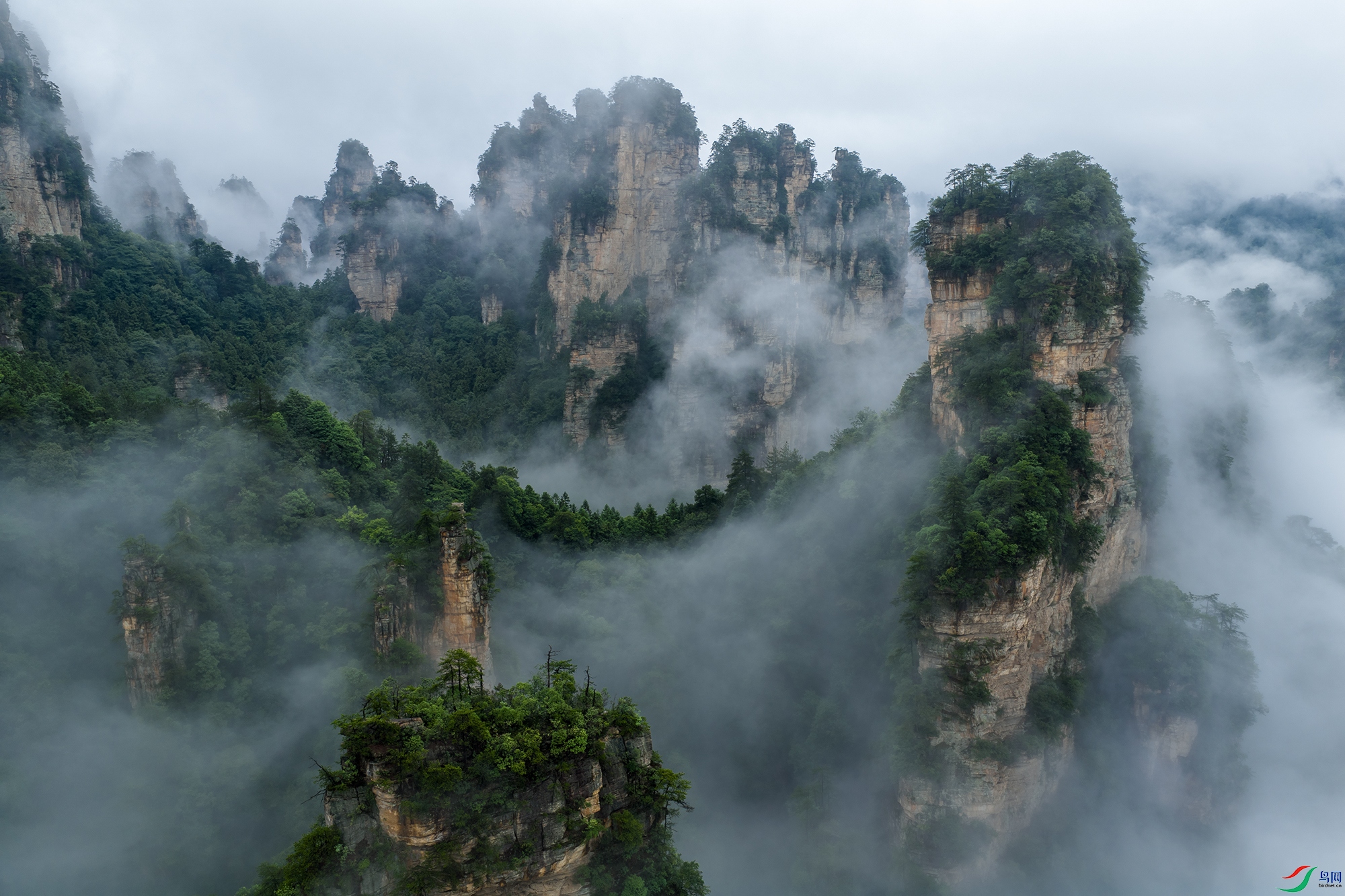 DJI_20250625132836_0350_D-1.jpg