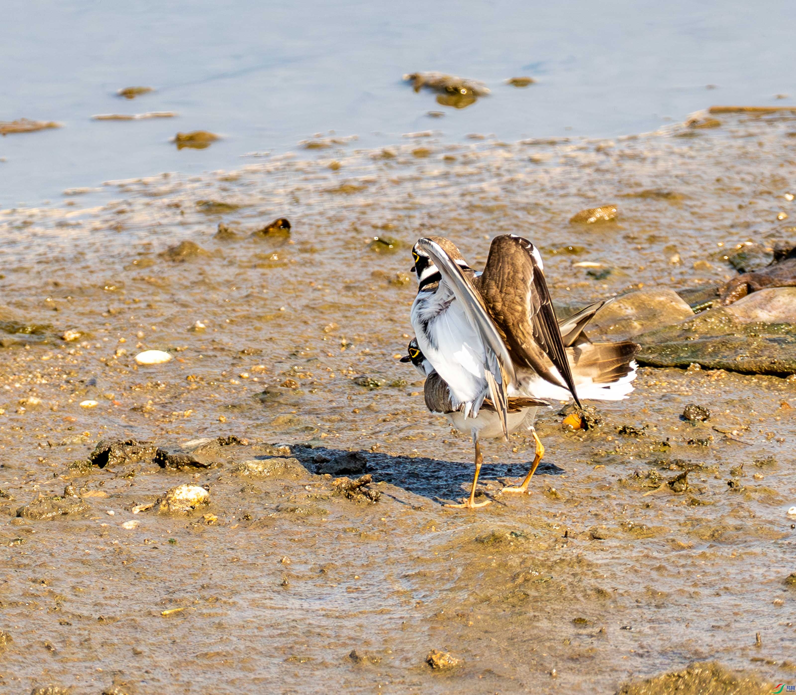 ����a (5 - 9).jpg