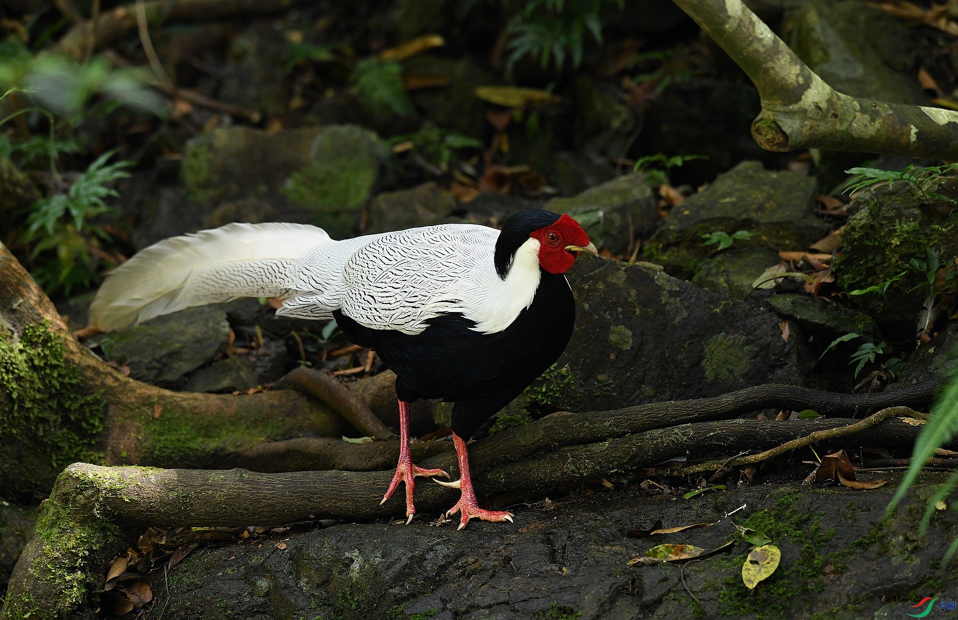 DSC_6652.jpg