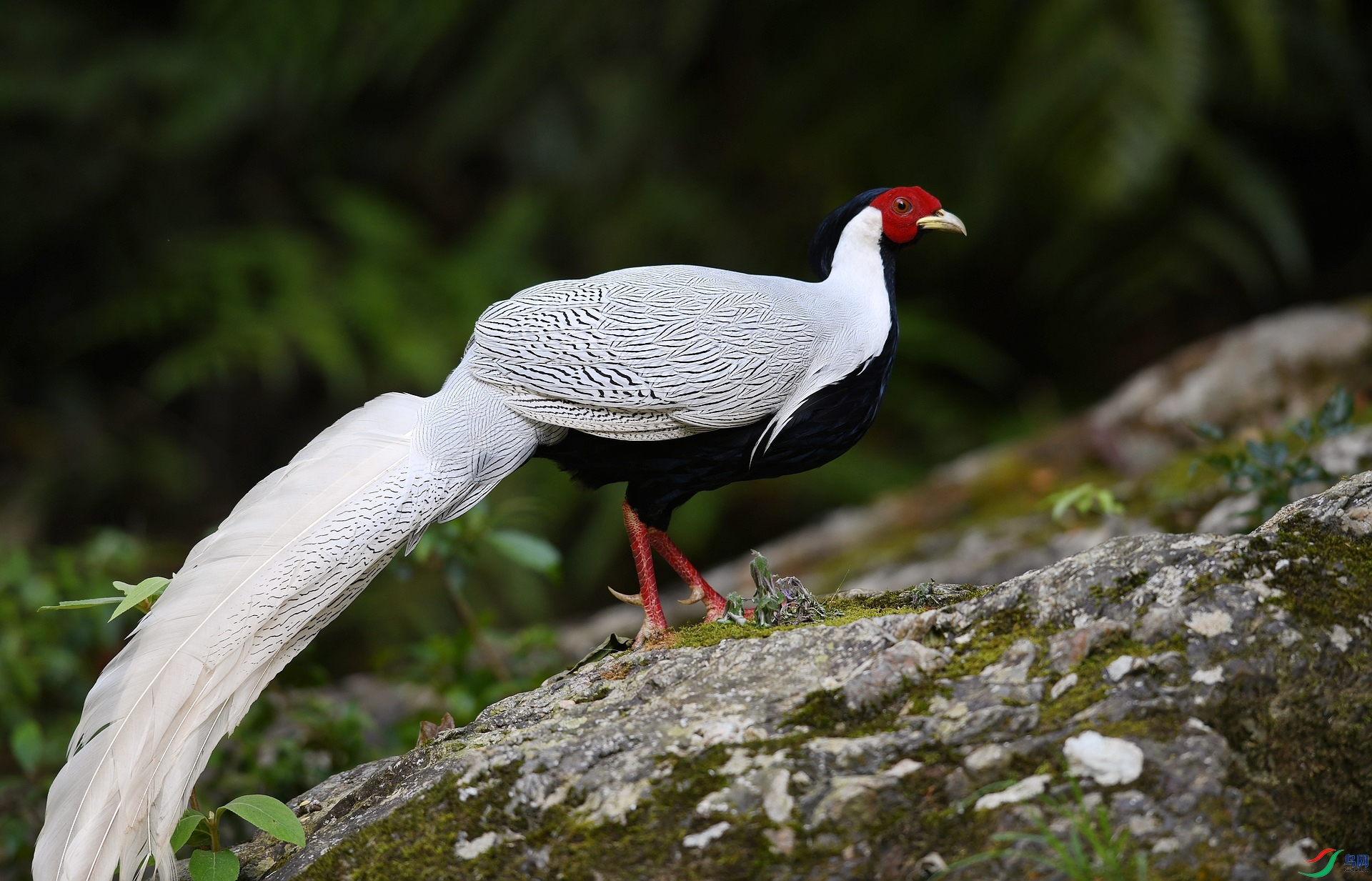 DSC_7842.jpg