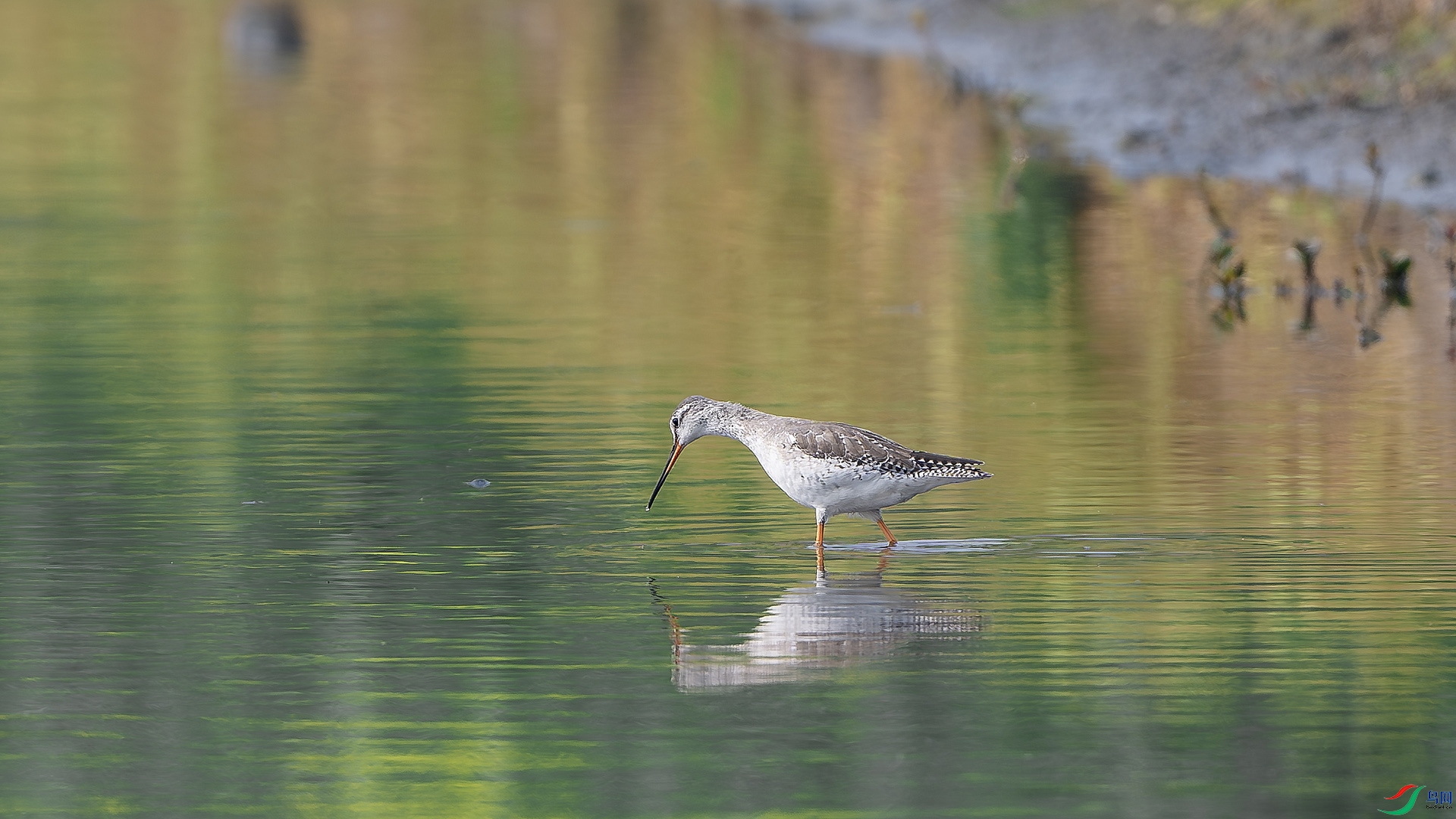 DSC_5963.jpg