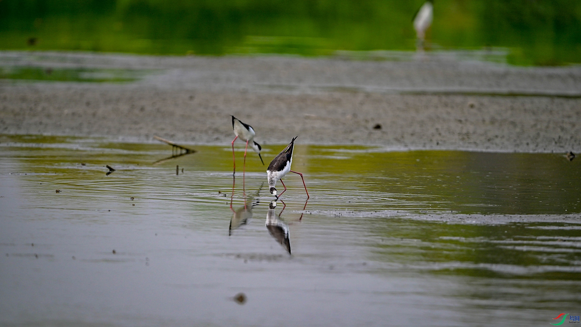 DSC_1422.jpg