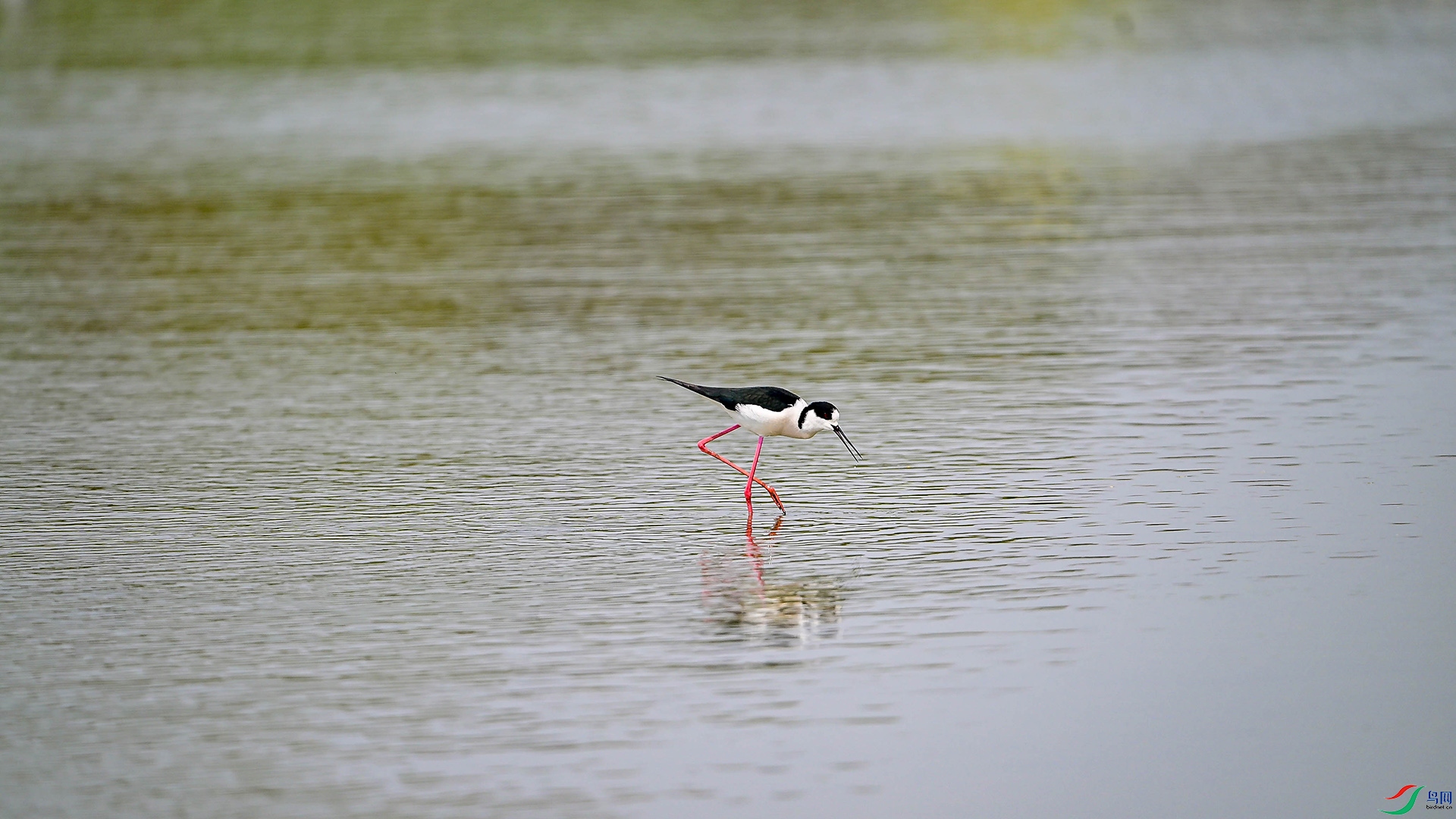 DSC_7843.jpg