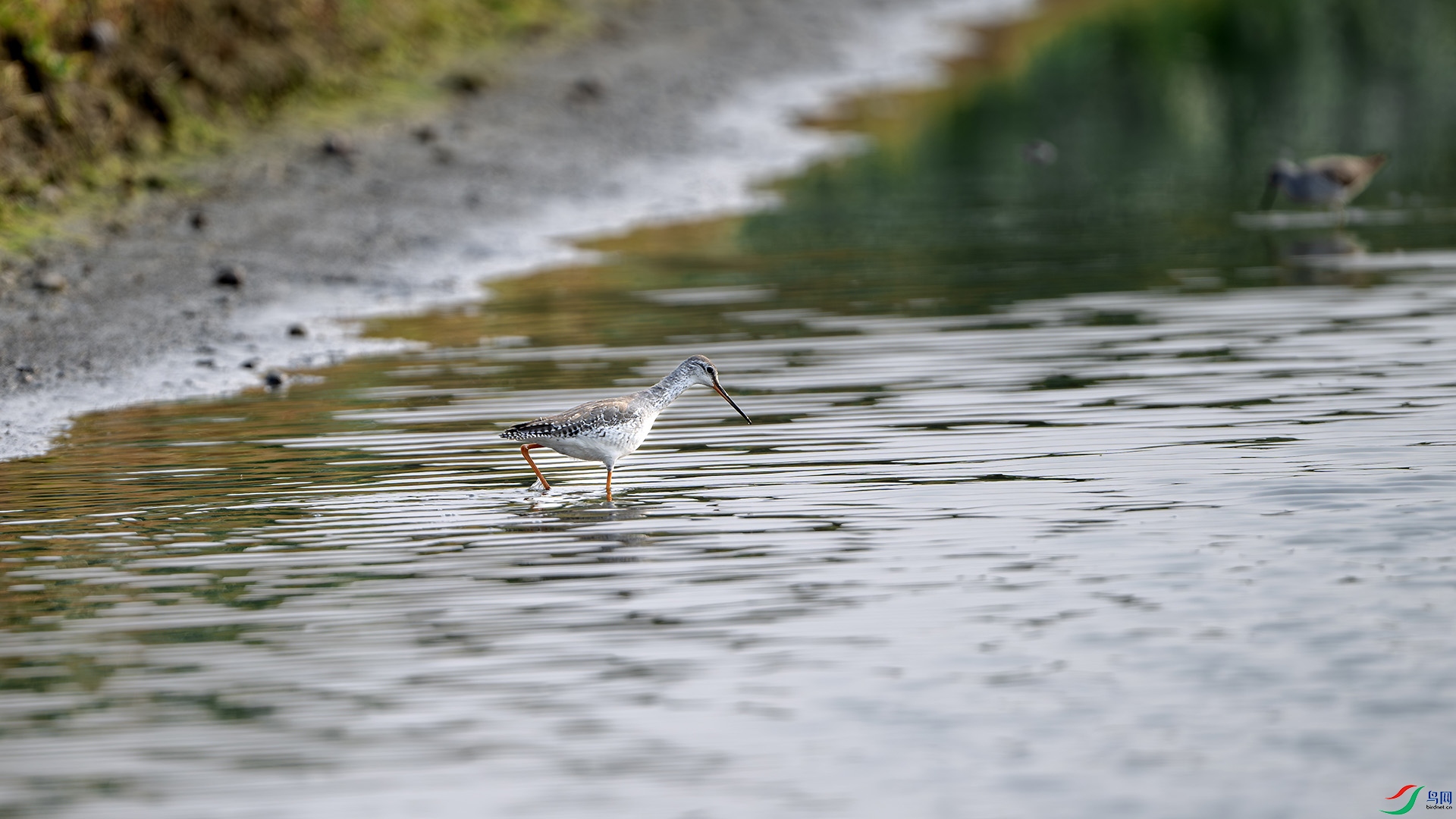 DSC_5106.jpg