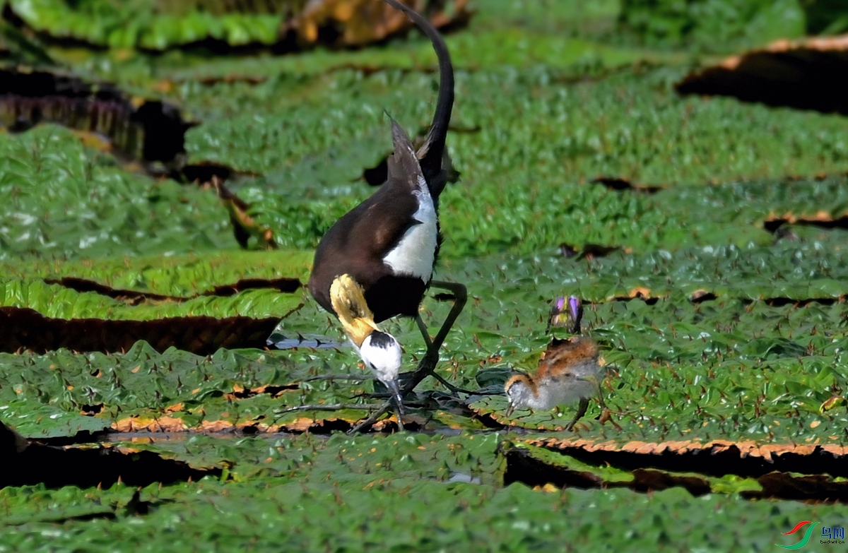 DSC_8469.jpg