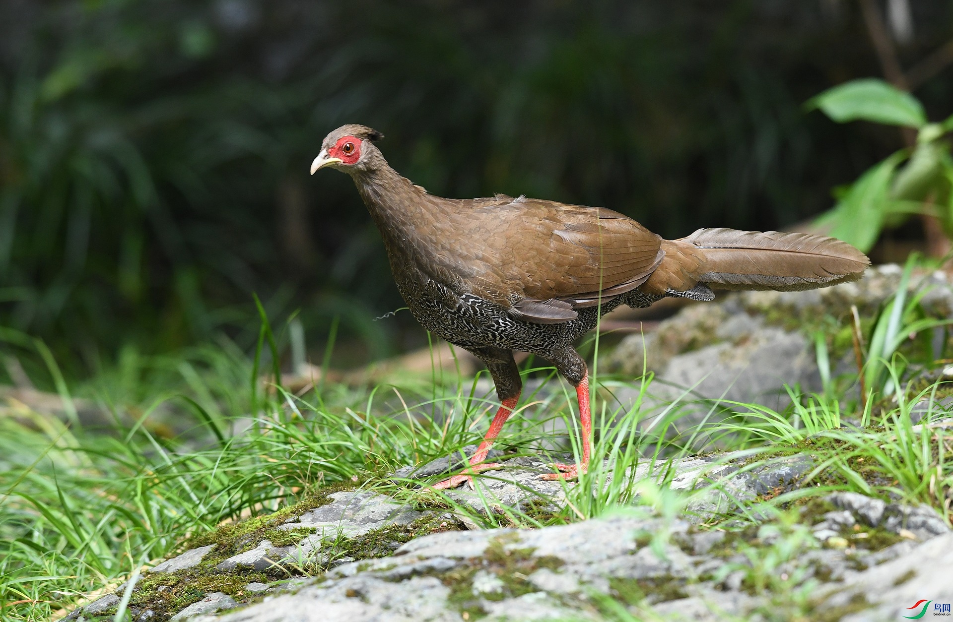 DSC_6669.jpg