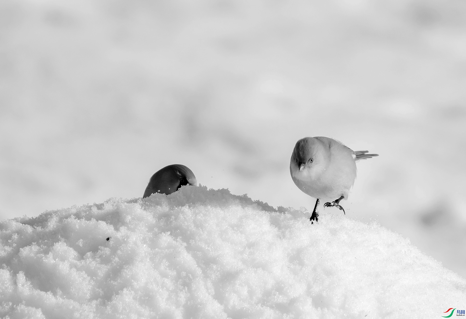 DSC00405 ����_����.jpg