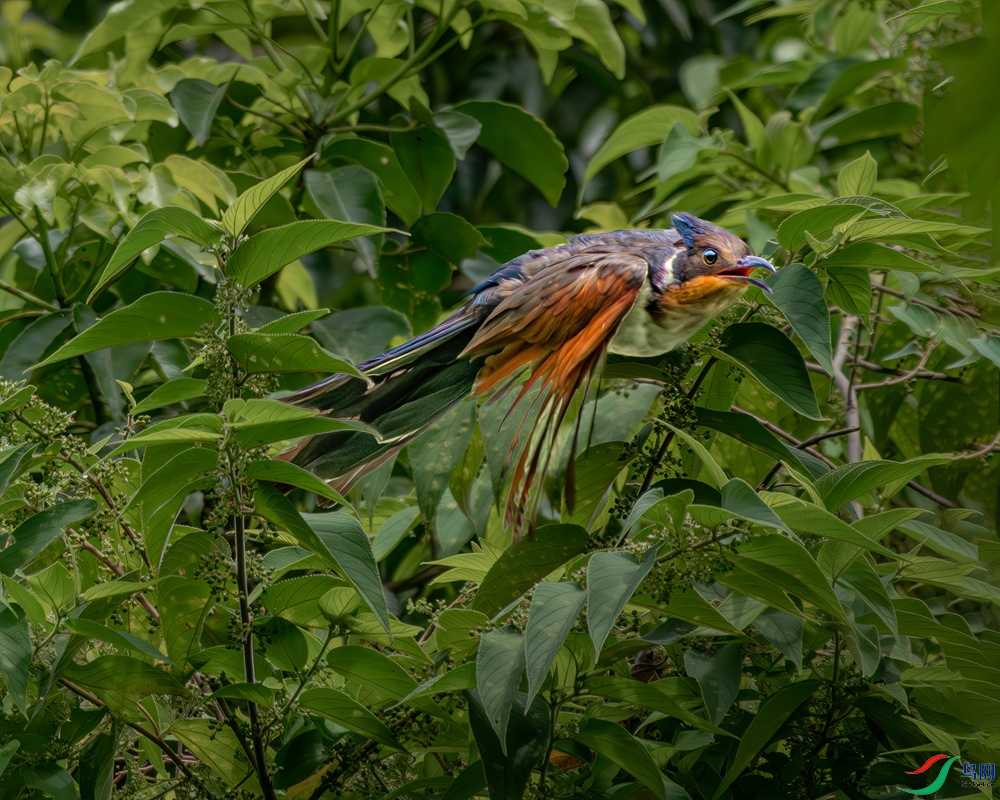 _DSC5868.jpg