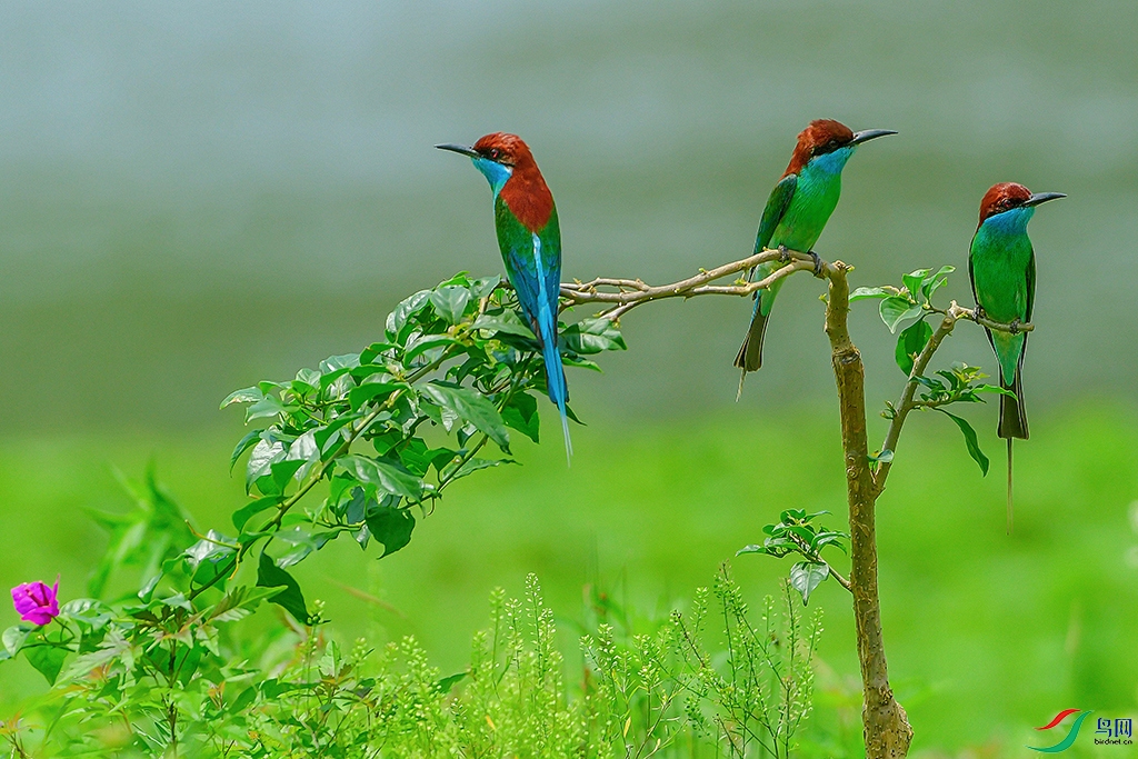 DSC_7123-1.jpg