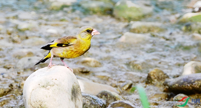 DSC_4623.JPG