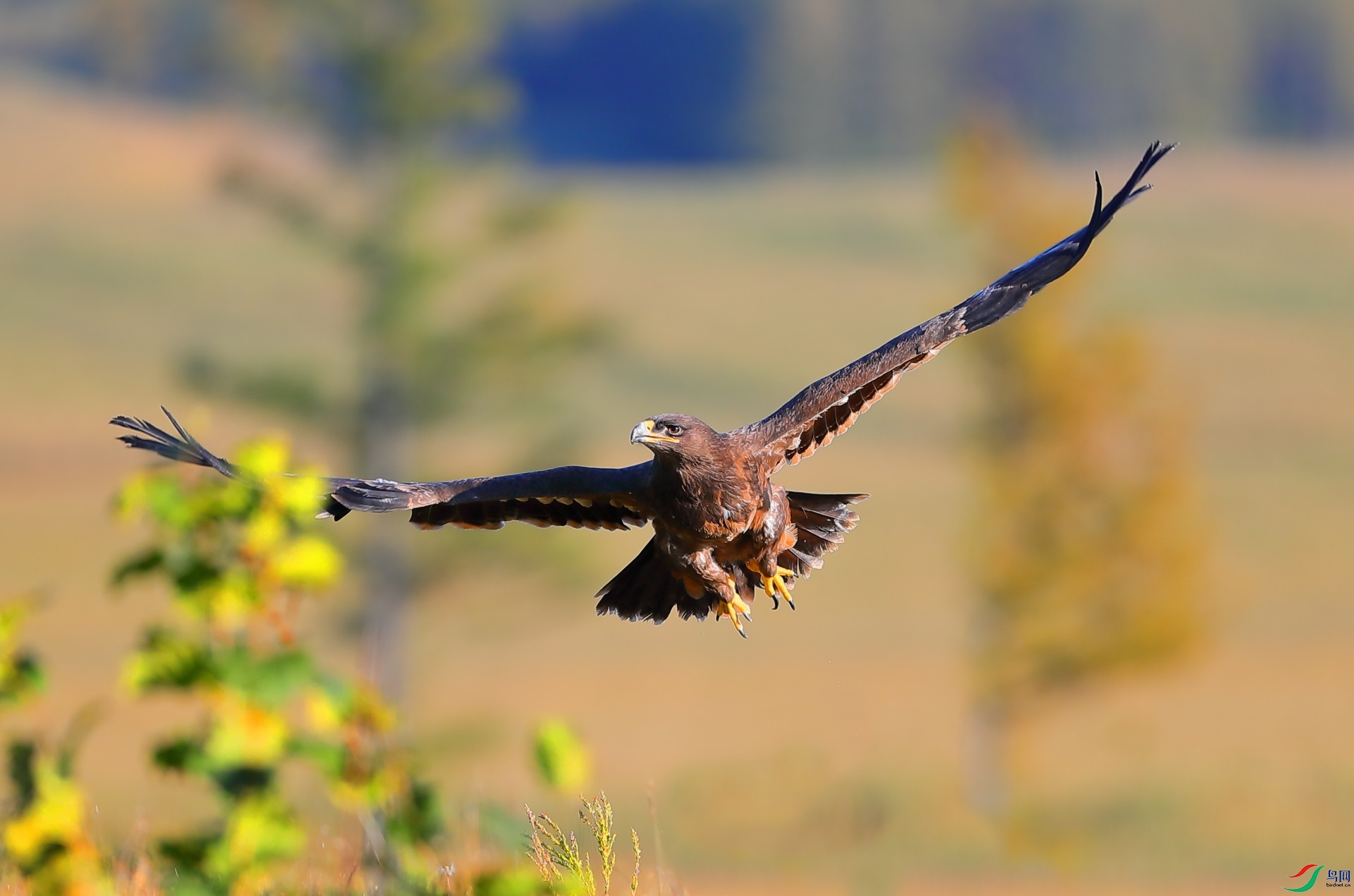 _B6I4310.JPG