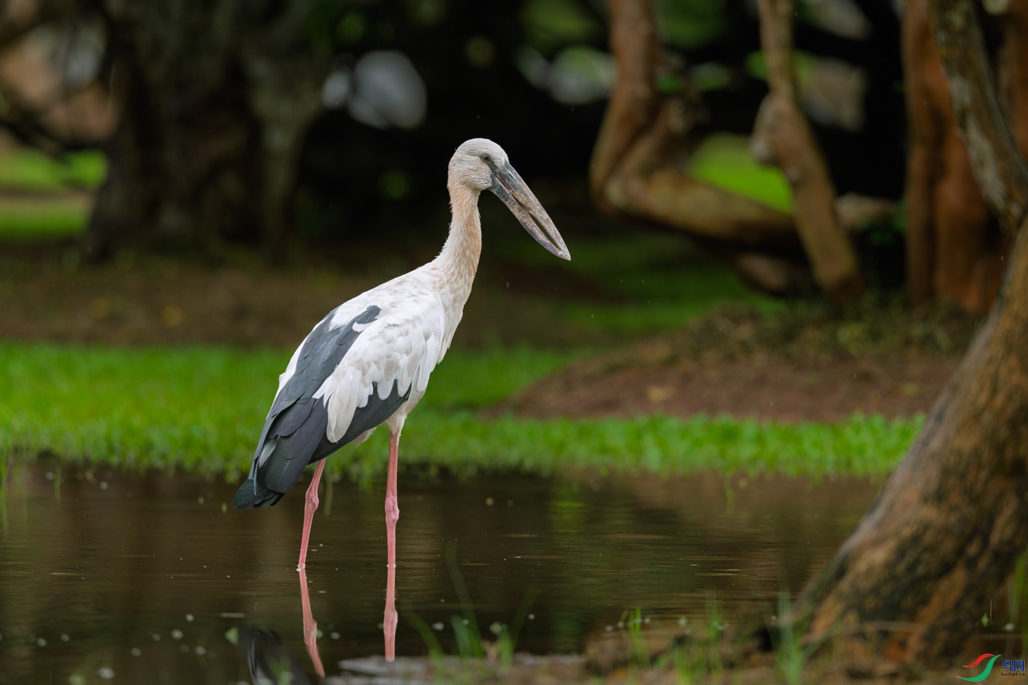 DSC_7357_1.JPG